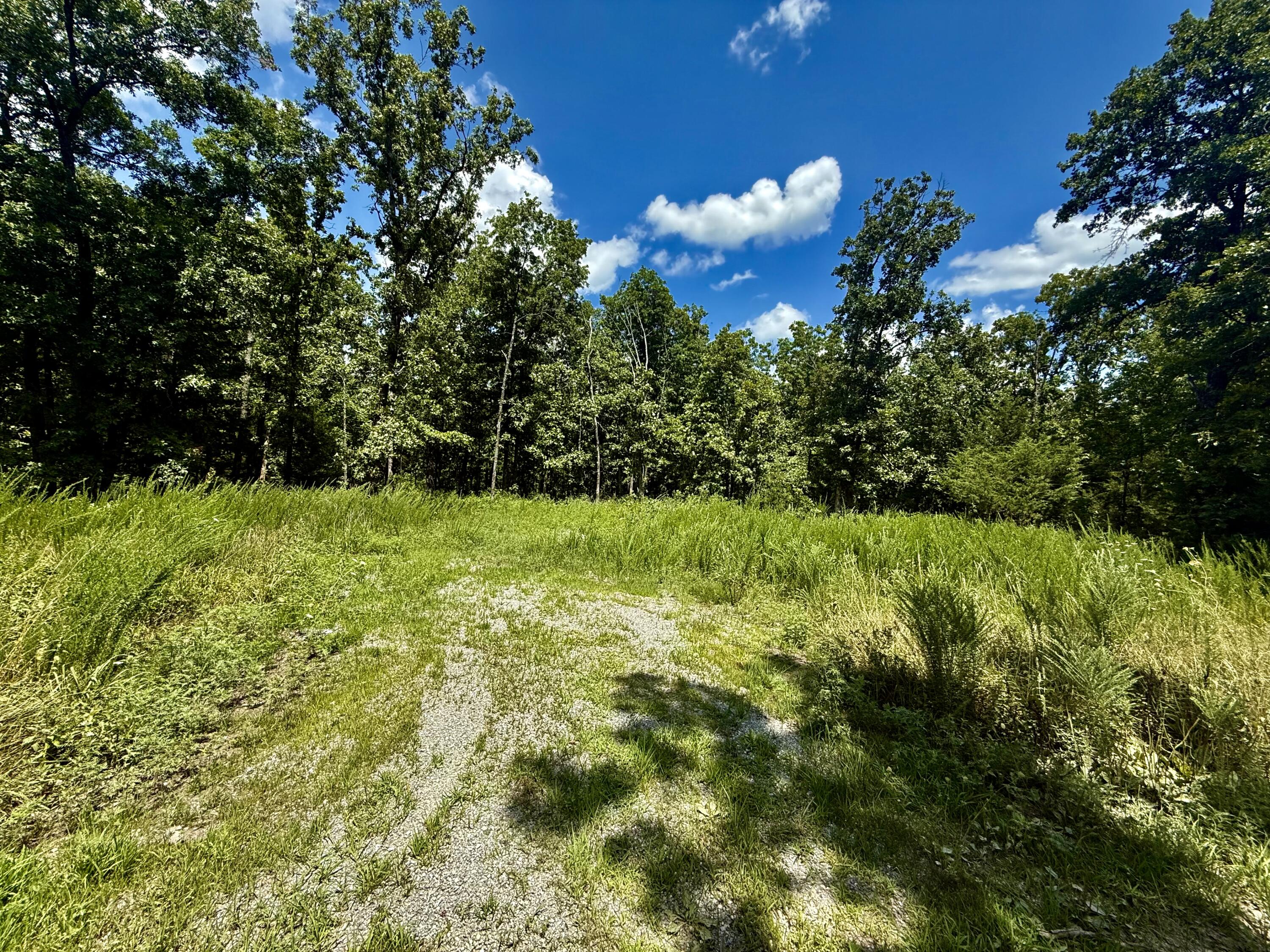 16445 County Road 6220 Property Photo 3
