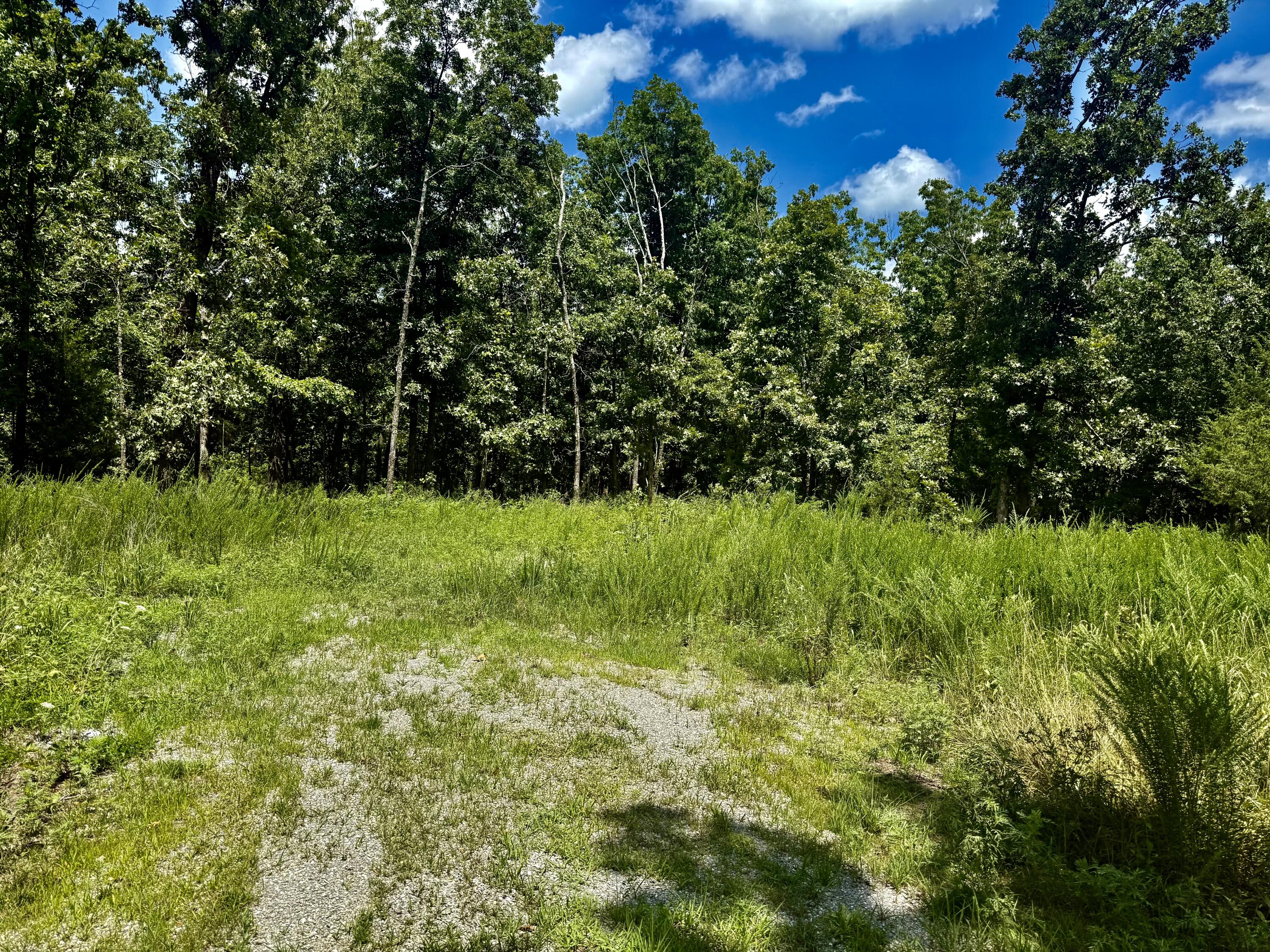16445 County Road 6220 Property Photo 5
