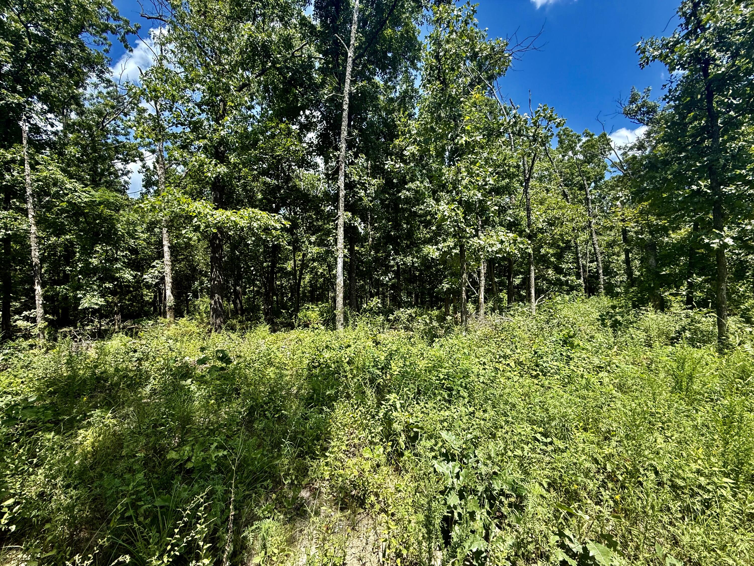16445 County Road 6220 Property Photo 6