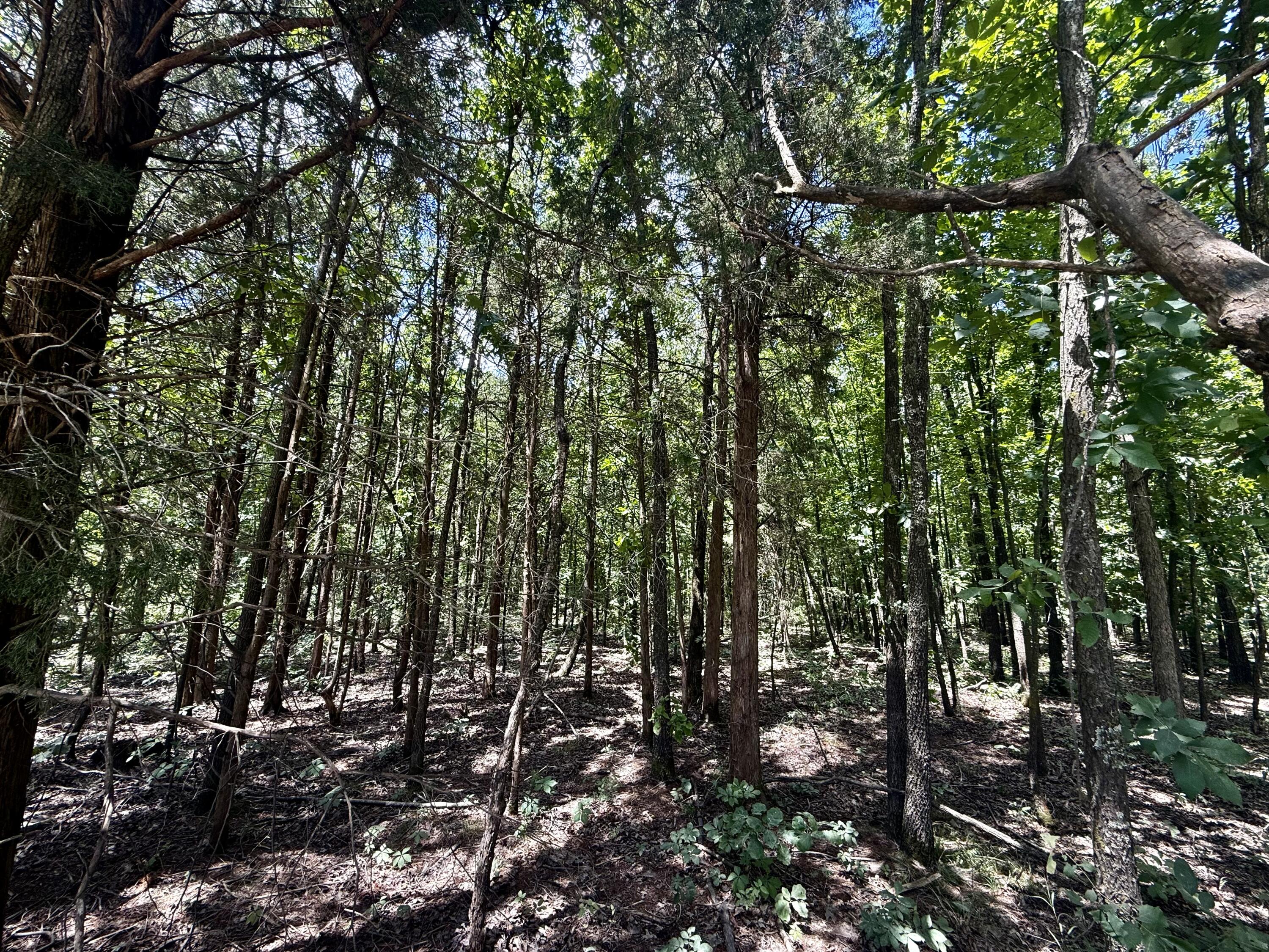 16445 County Road 6220 Property Photo 8