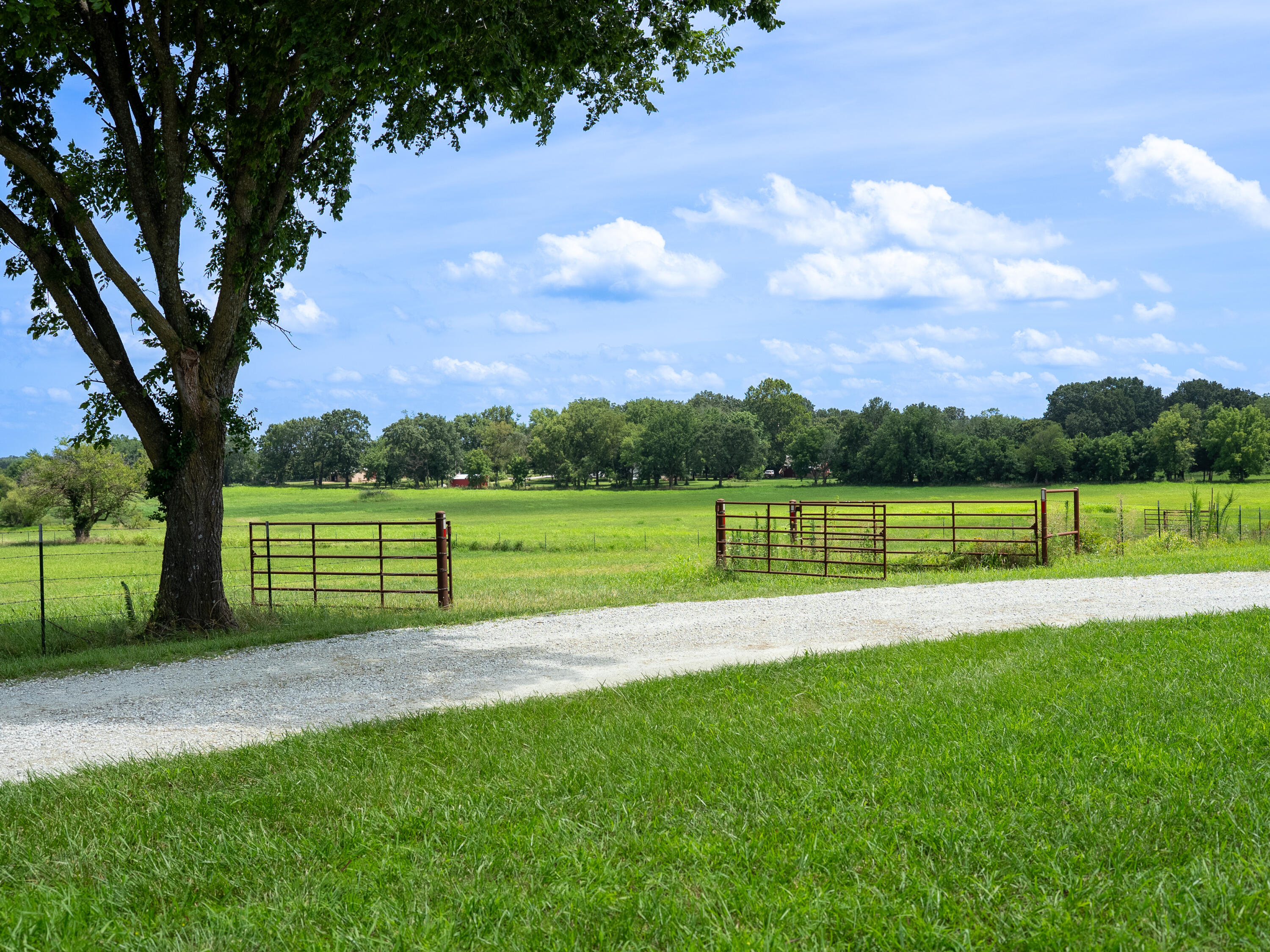 12693 Highway 59 Property Photo 5
