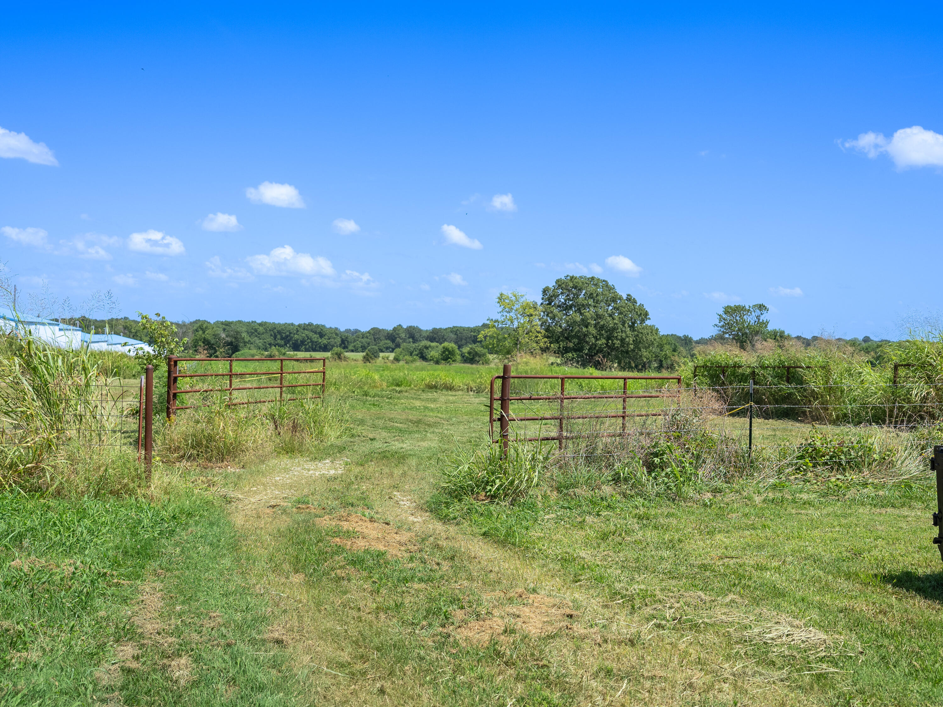 12693 Highway 59 Property Photo 16