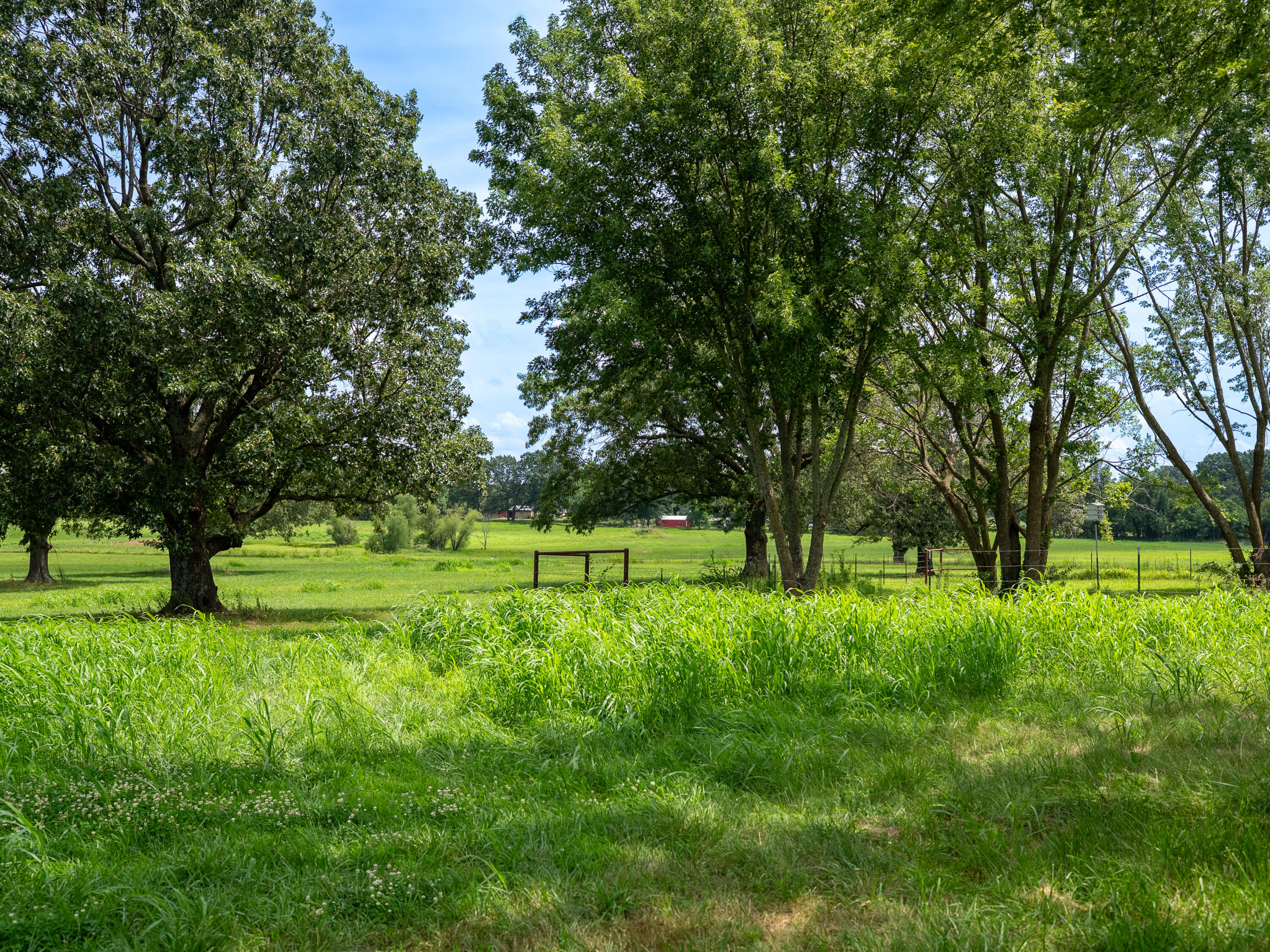 12693 Highway 59 Property Photo 28
