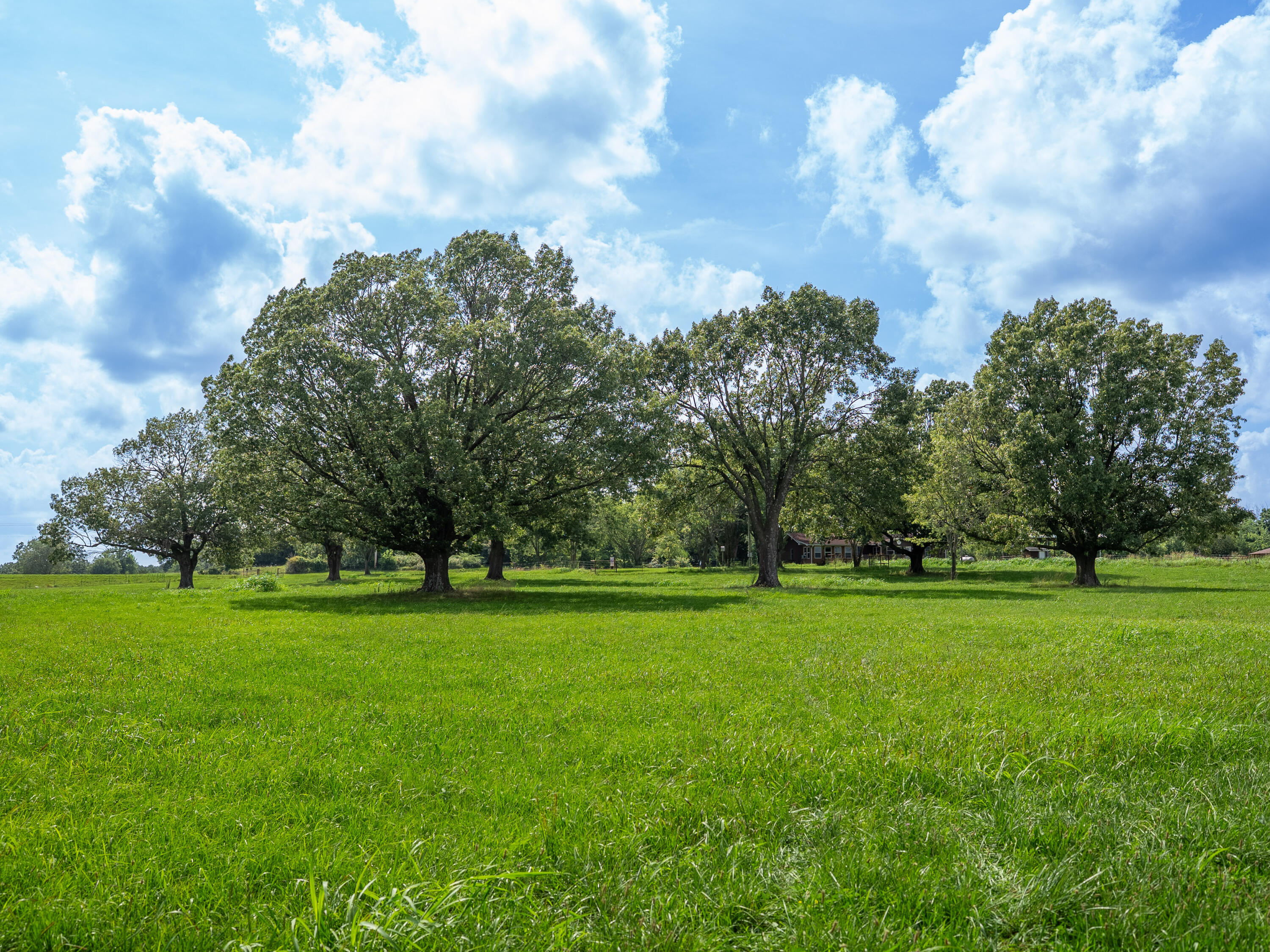 12693 Highway 59 Property Photo 38