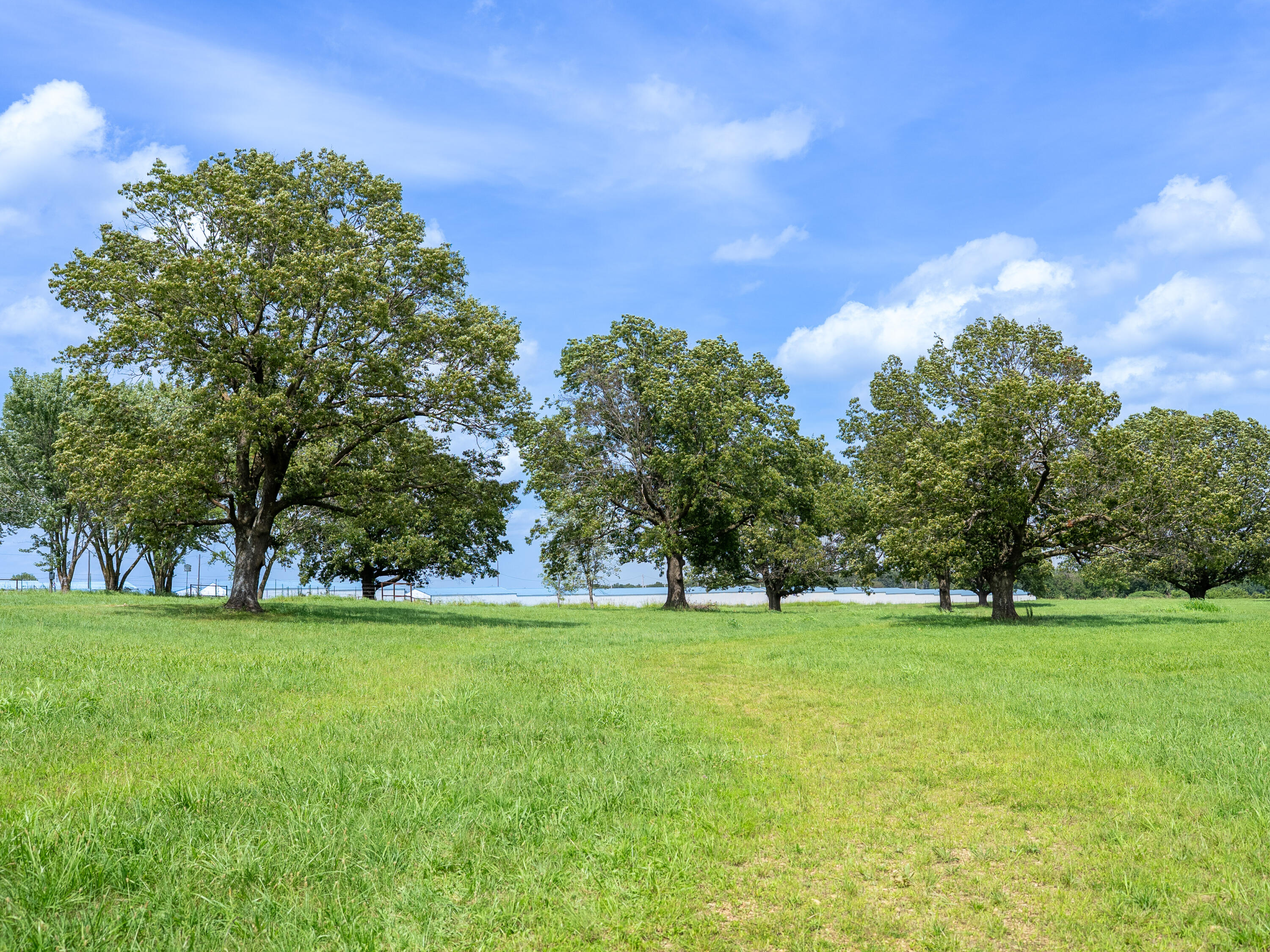 12693 Highway 59 Property Photo 39