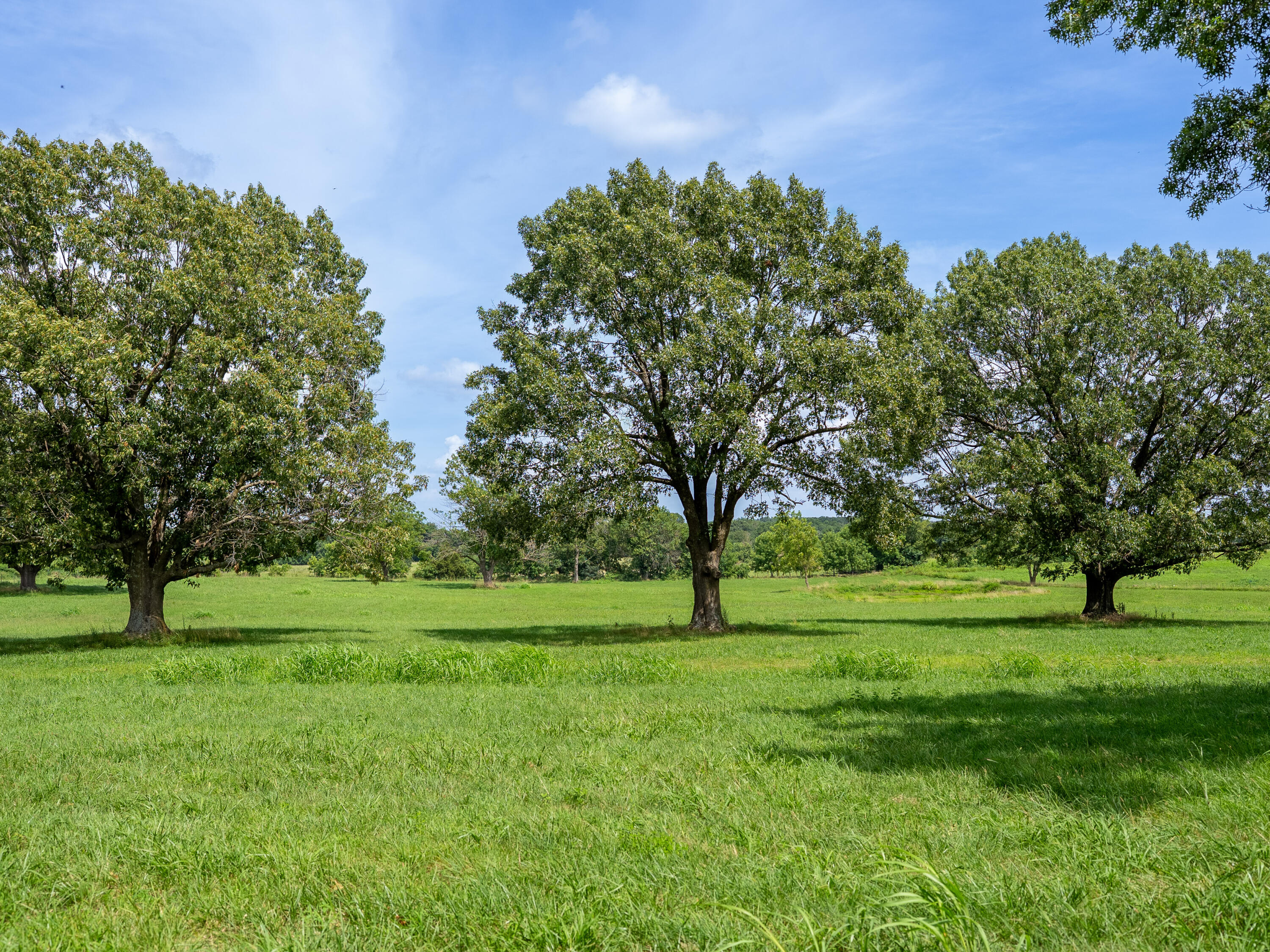 12693 Highway 59 Property Photo 40