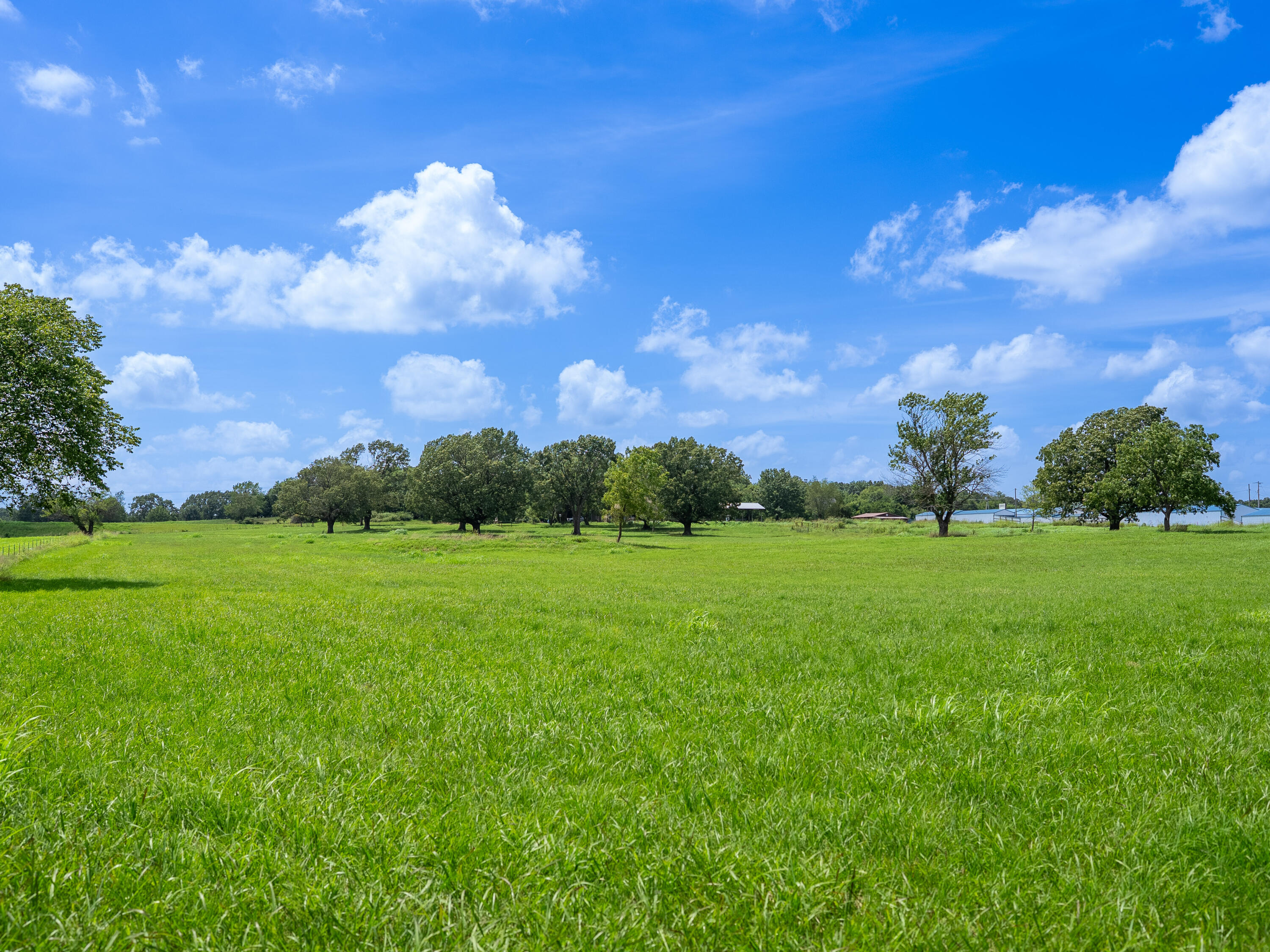 12693 Highway 59 Property Photo 43