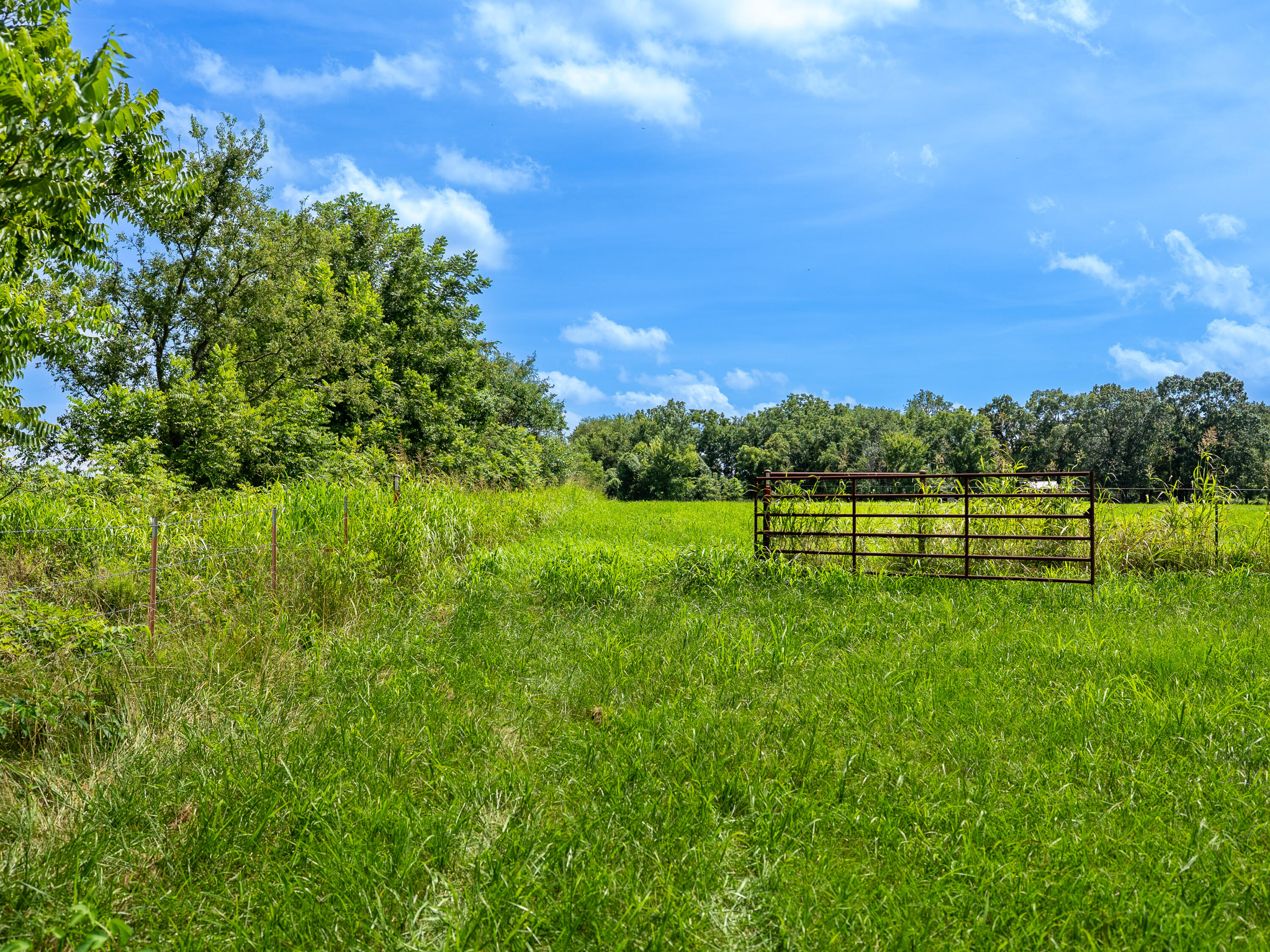 12693 Highway 59 Property Photo 45