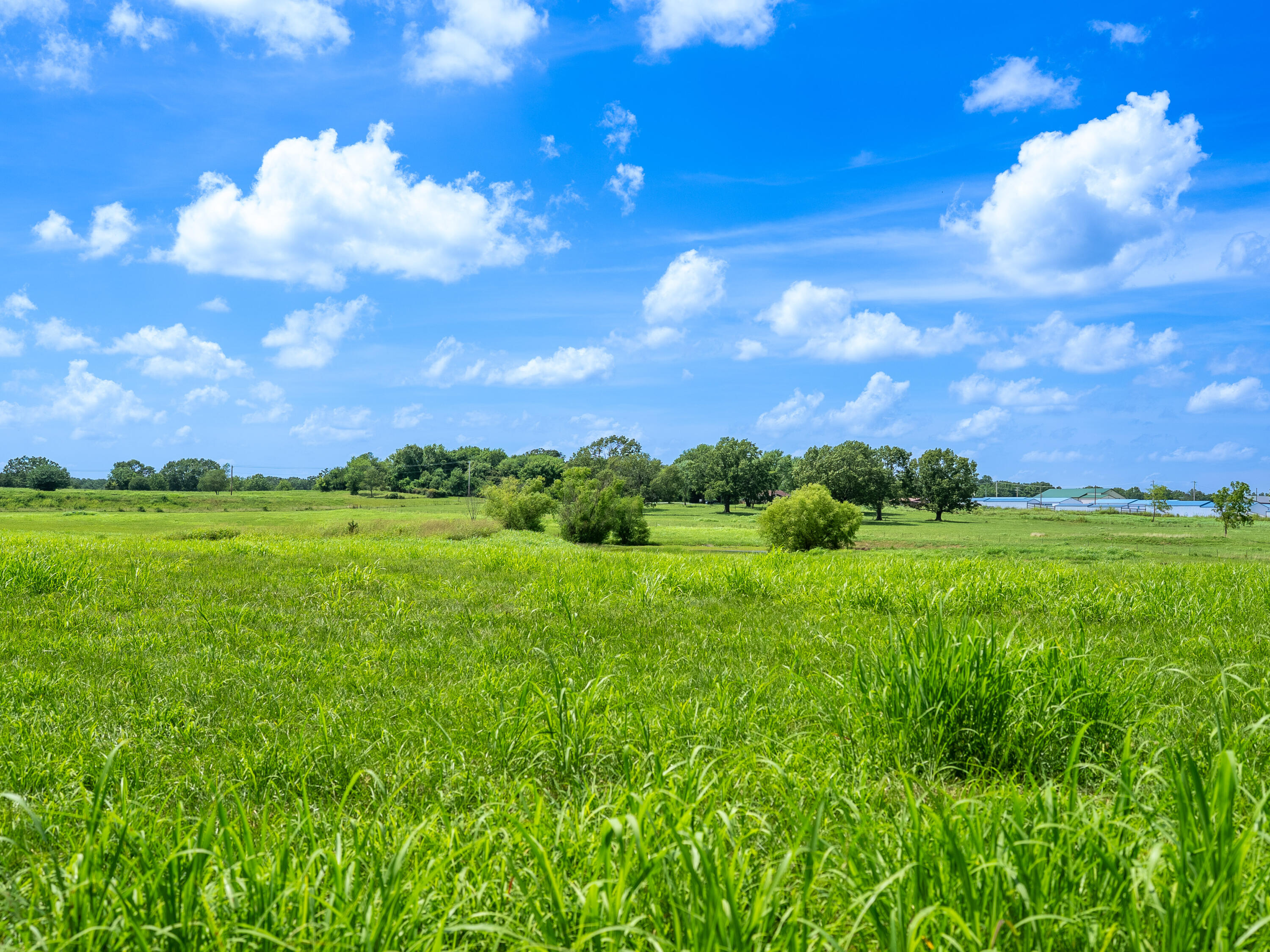 12693 Highway 59 Property Photo 46