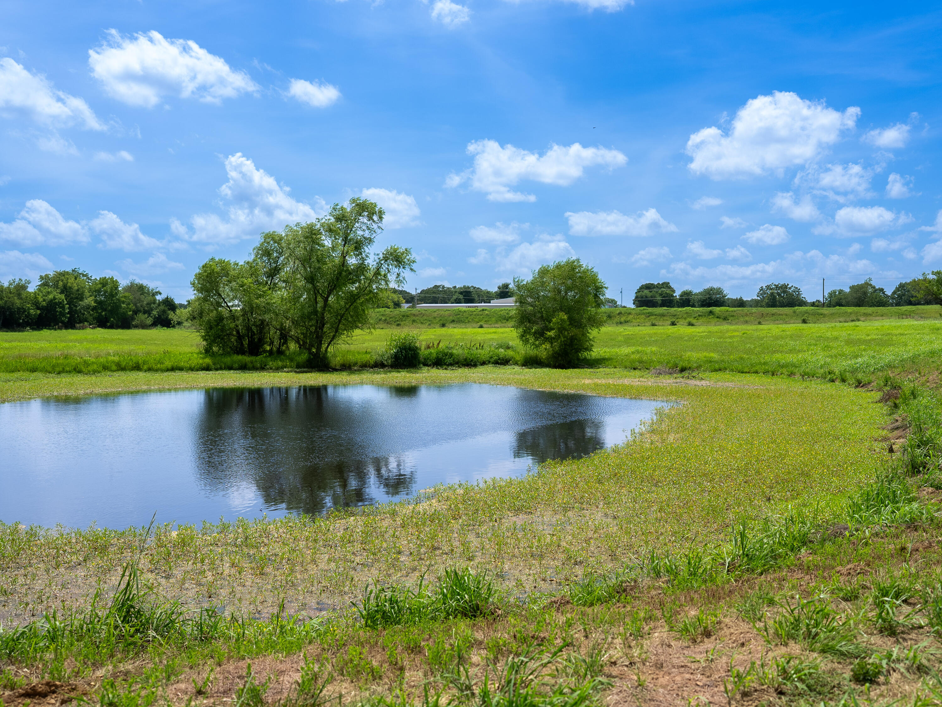12693 Highway 59 Property Photo 48