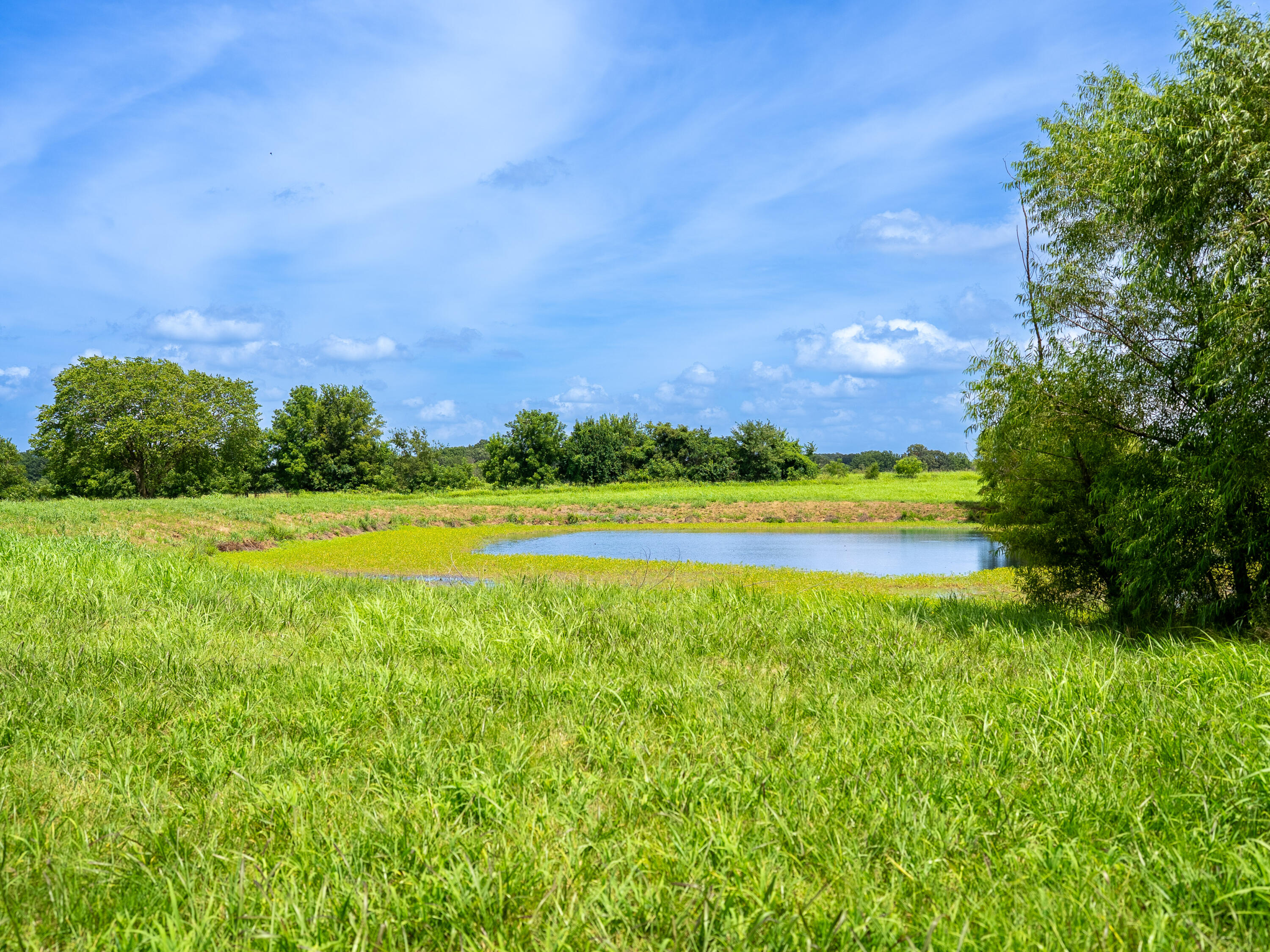 12693 Highway 59 Property Photo 49