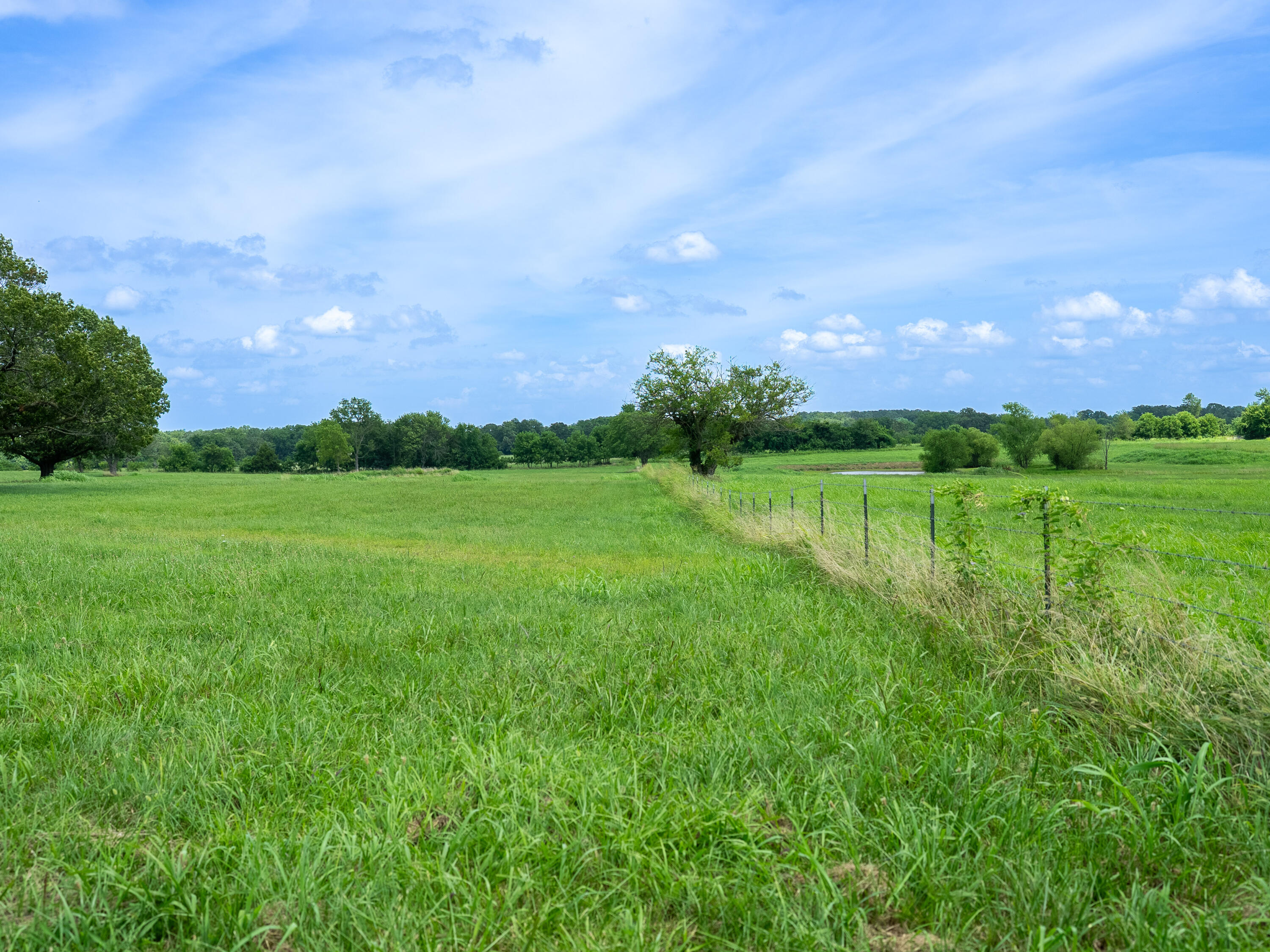 12693 Highway 59 Property Photo 55