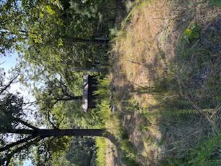 2880 County Road 135 Road Property Photo 1
