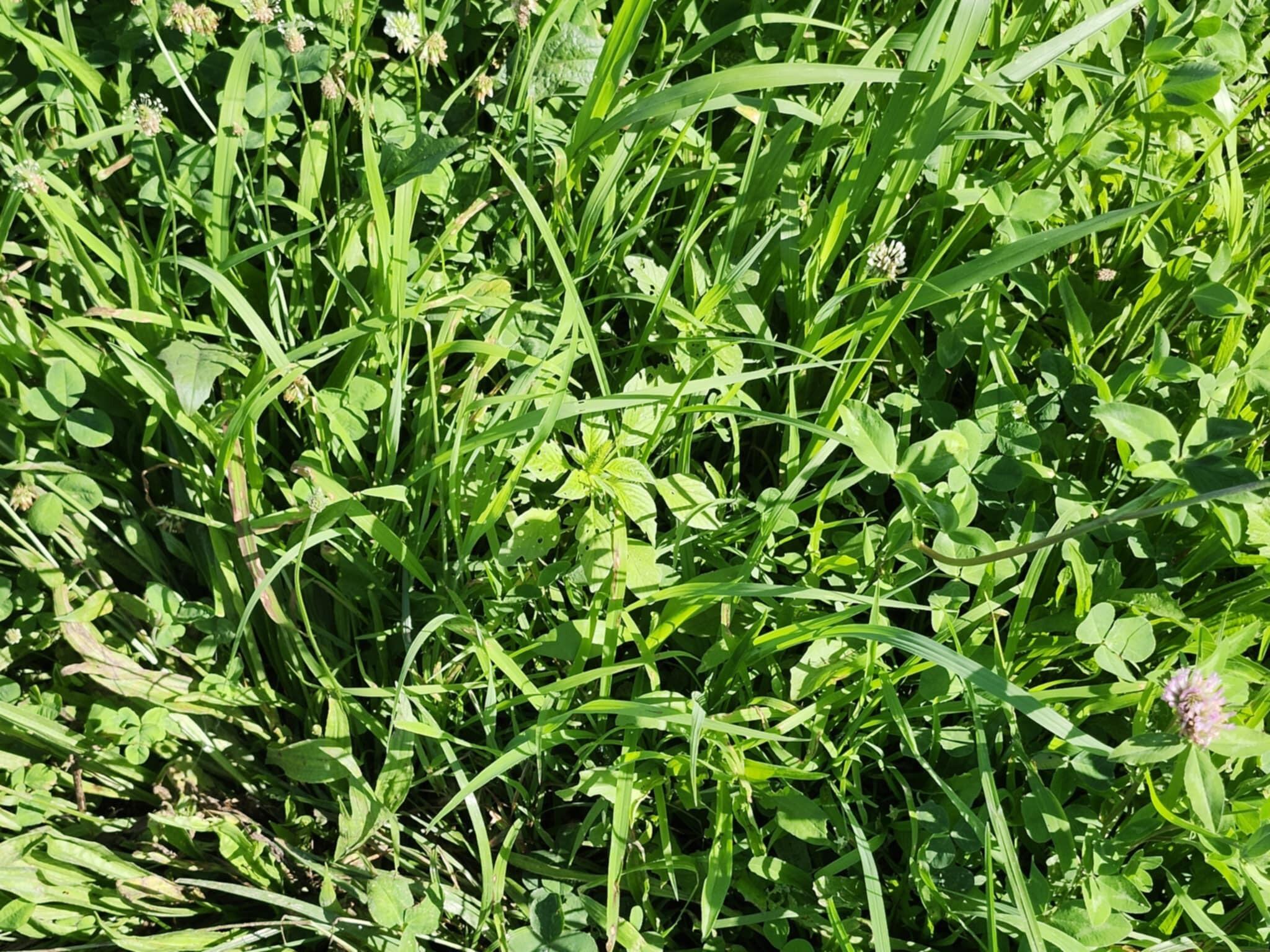 C-000 Tbd Property Photo 1