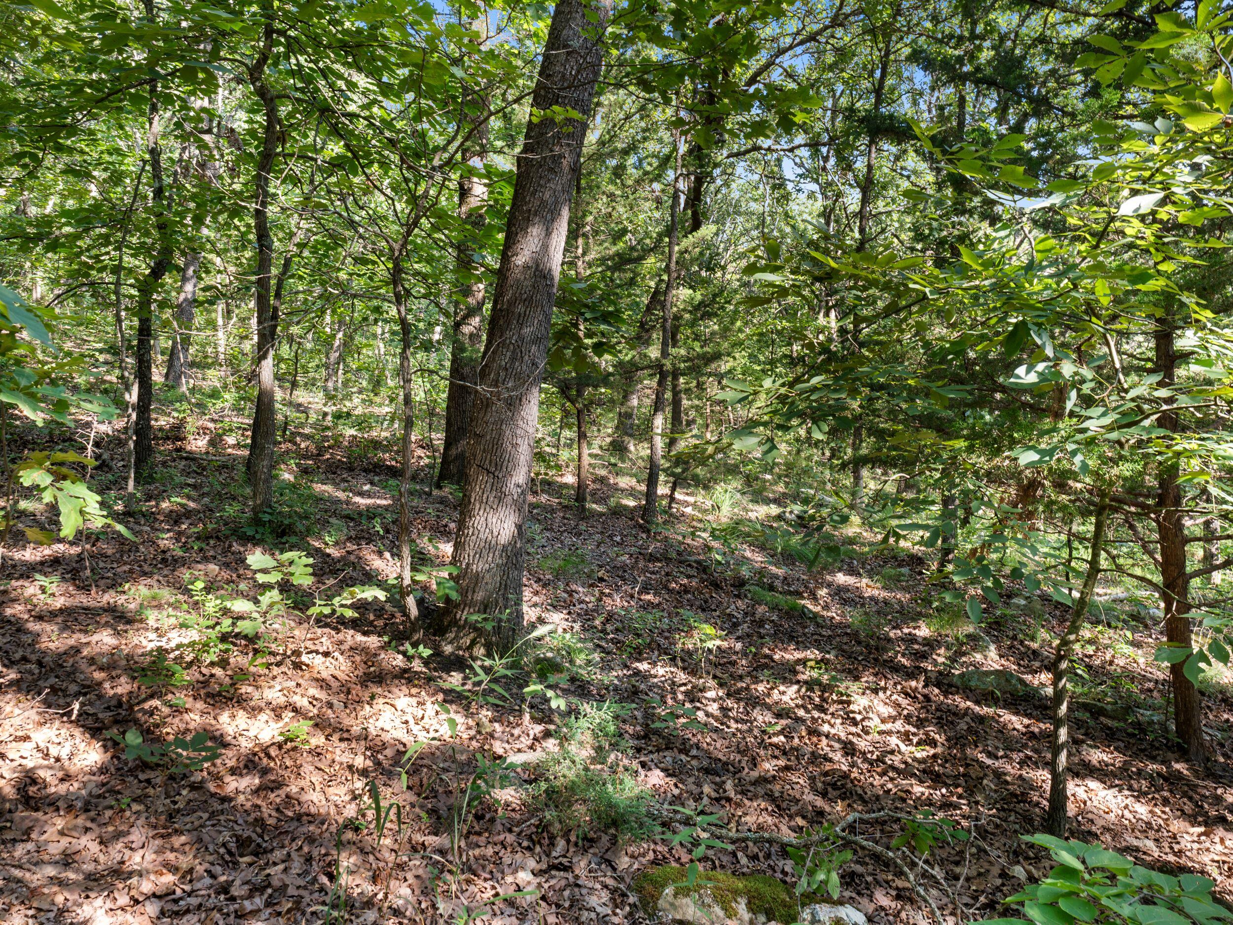 000 South 52nd Road Property Photo 3