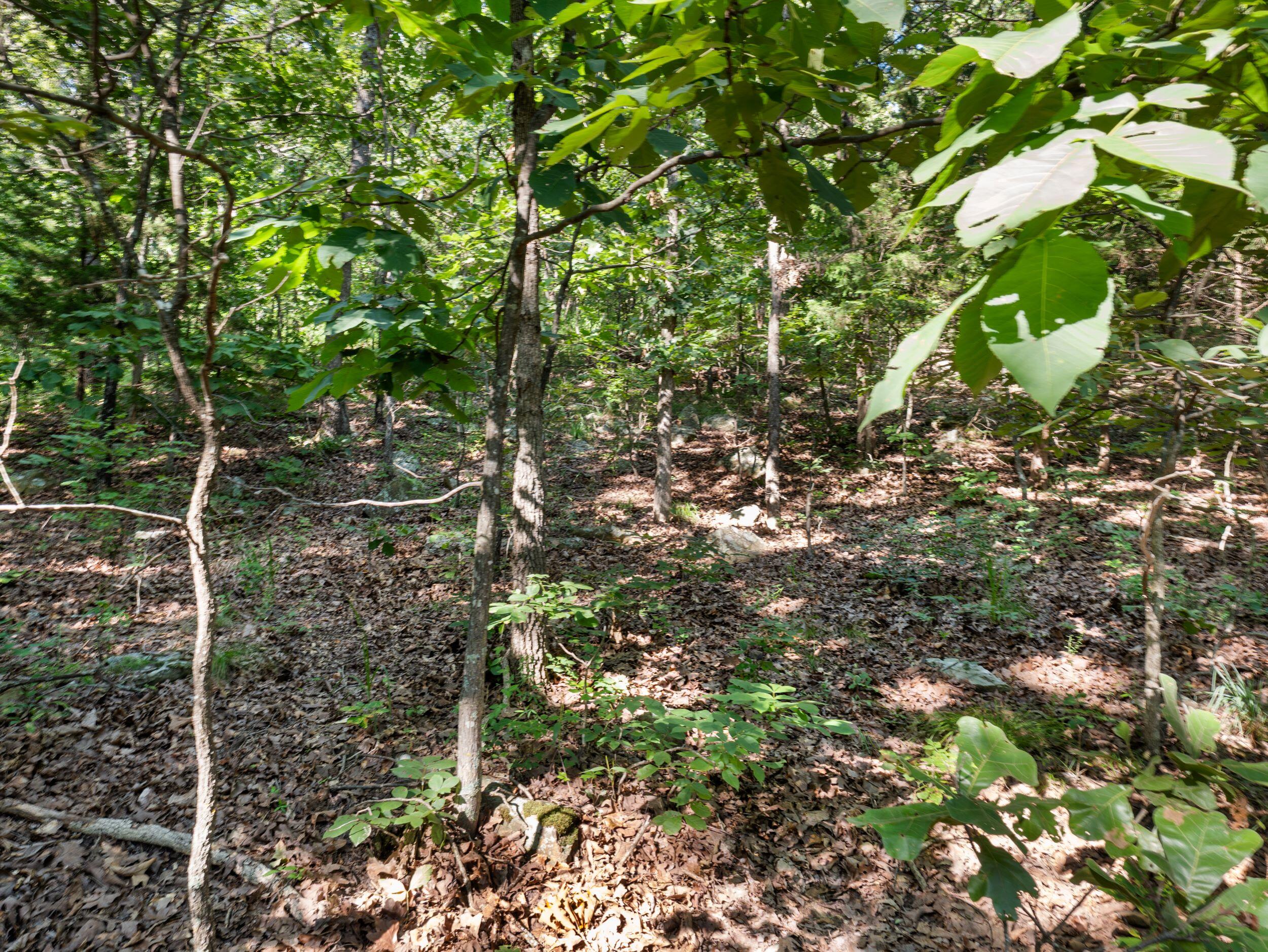000 South 52nd Road Property Photo 11
