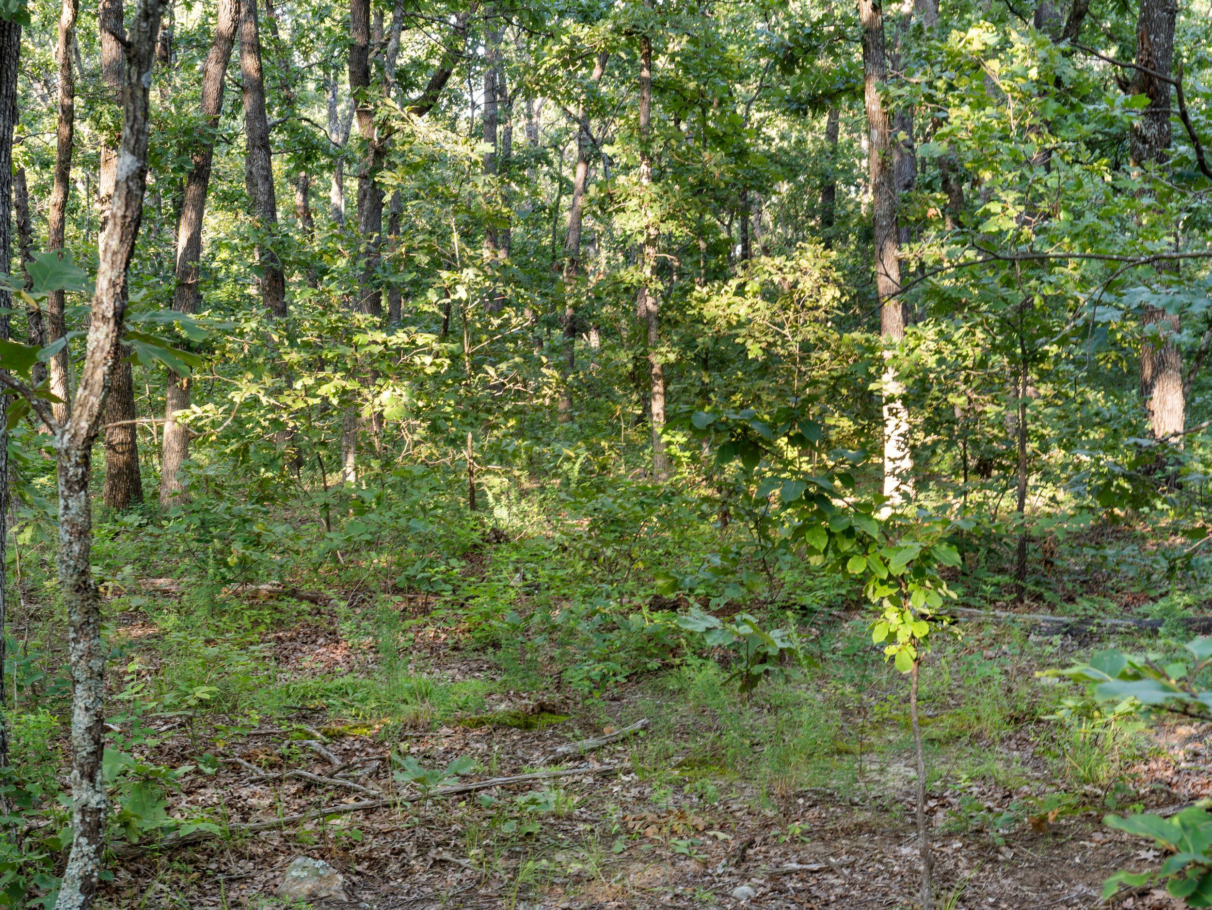 000 South 52nd Road Property Photo 13