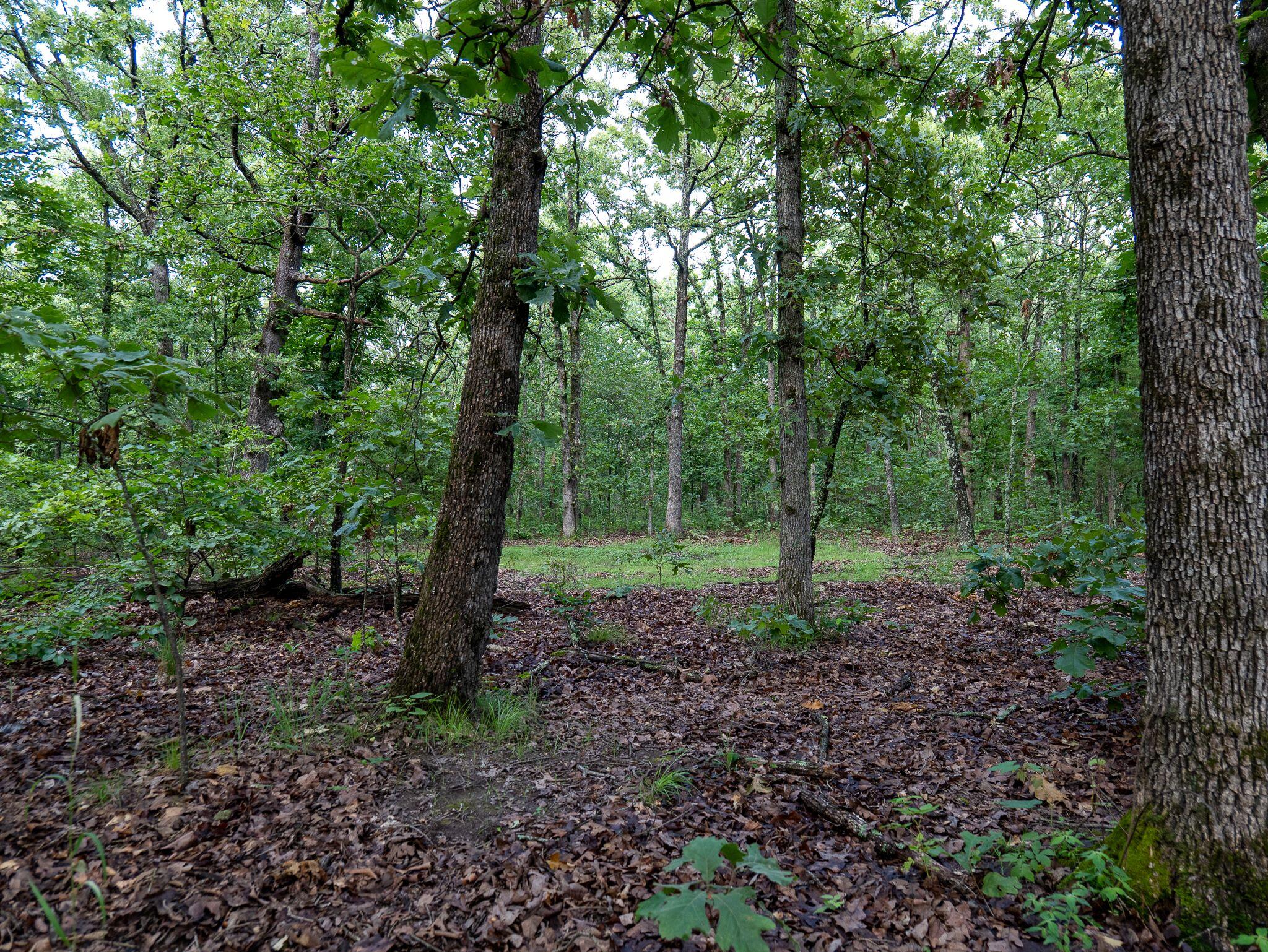000 South 52nd Road Property Photo 16