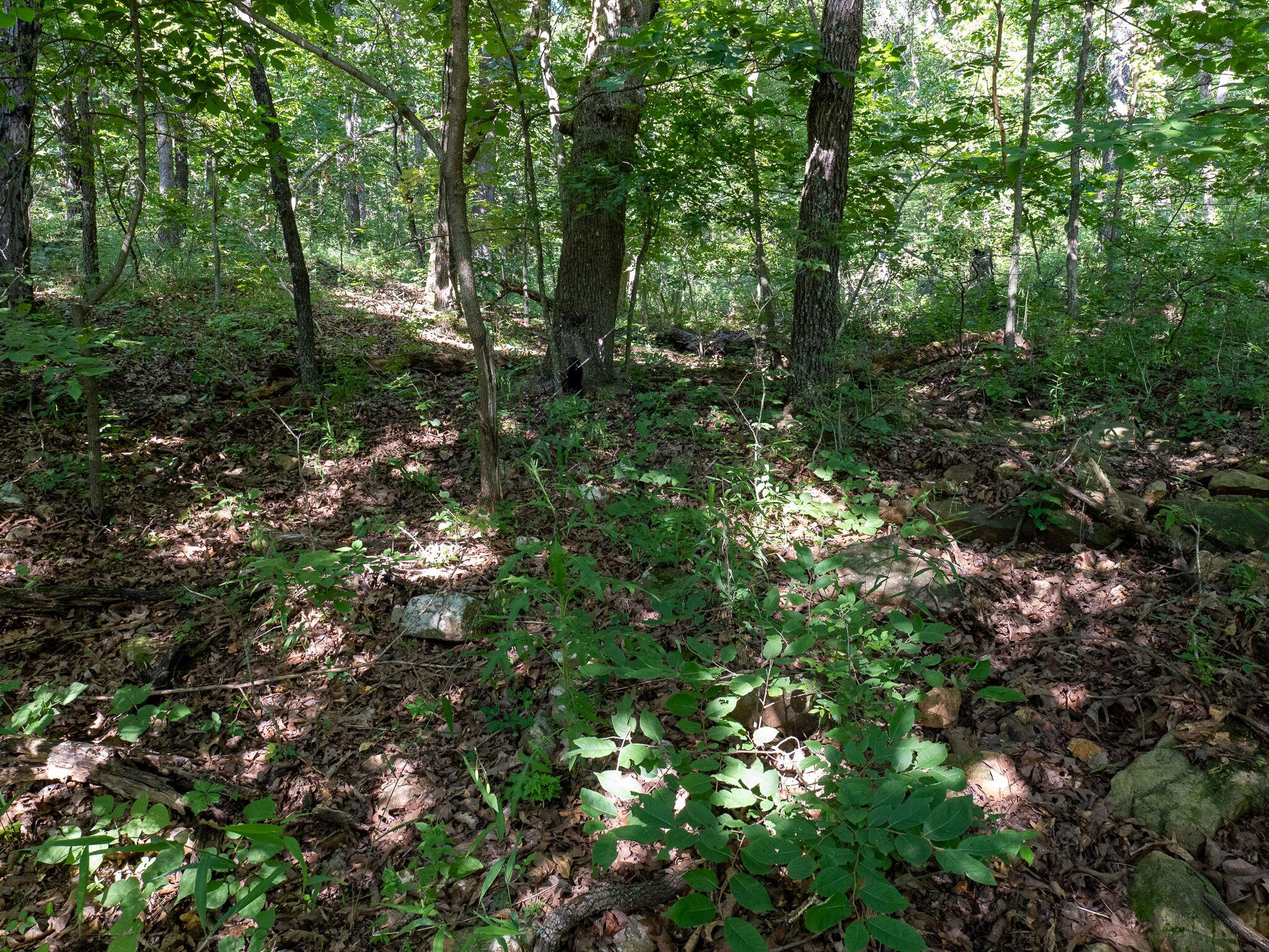 000 South 52nd Road Property Photo 20