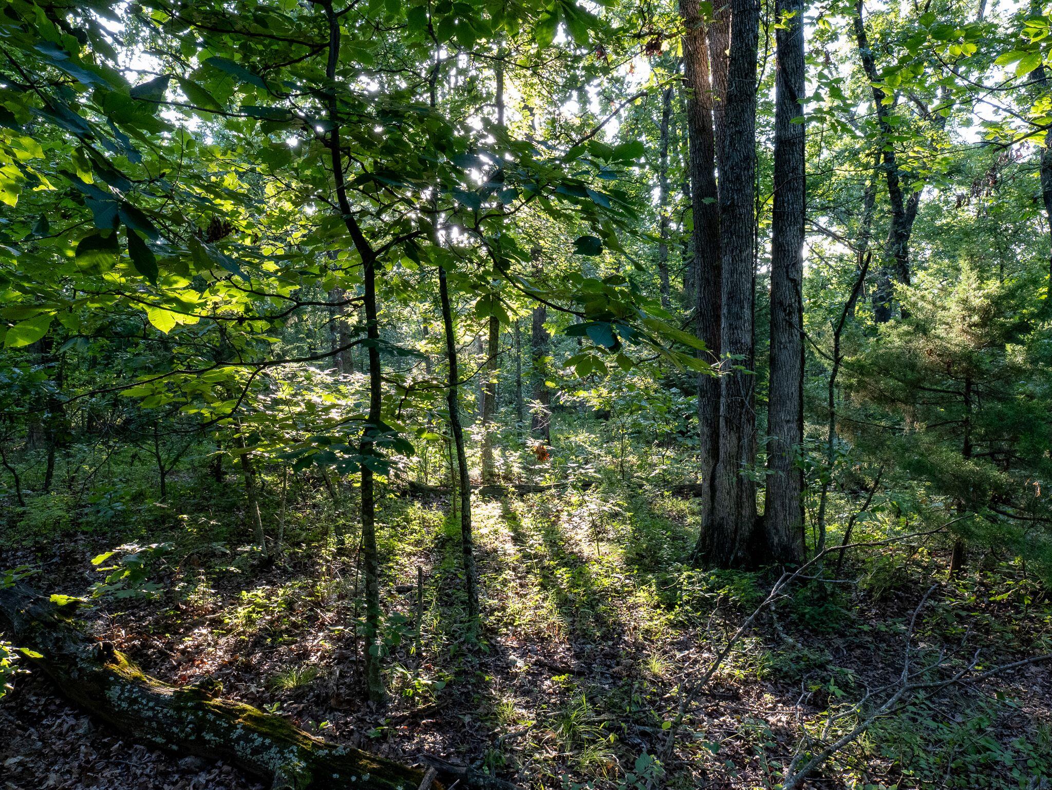 000 South 52nd Road Property Photo 24