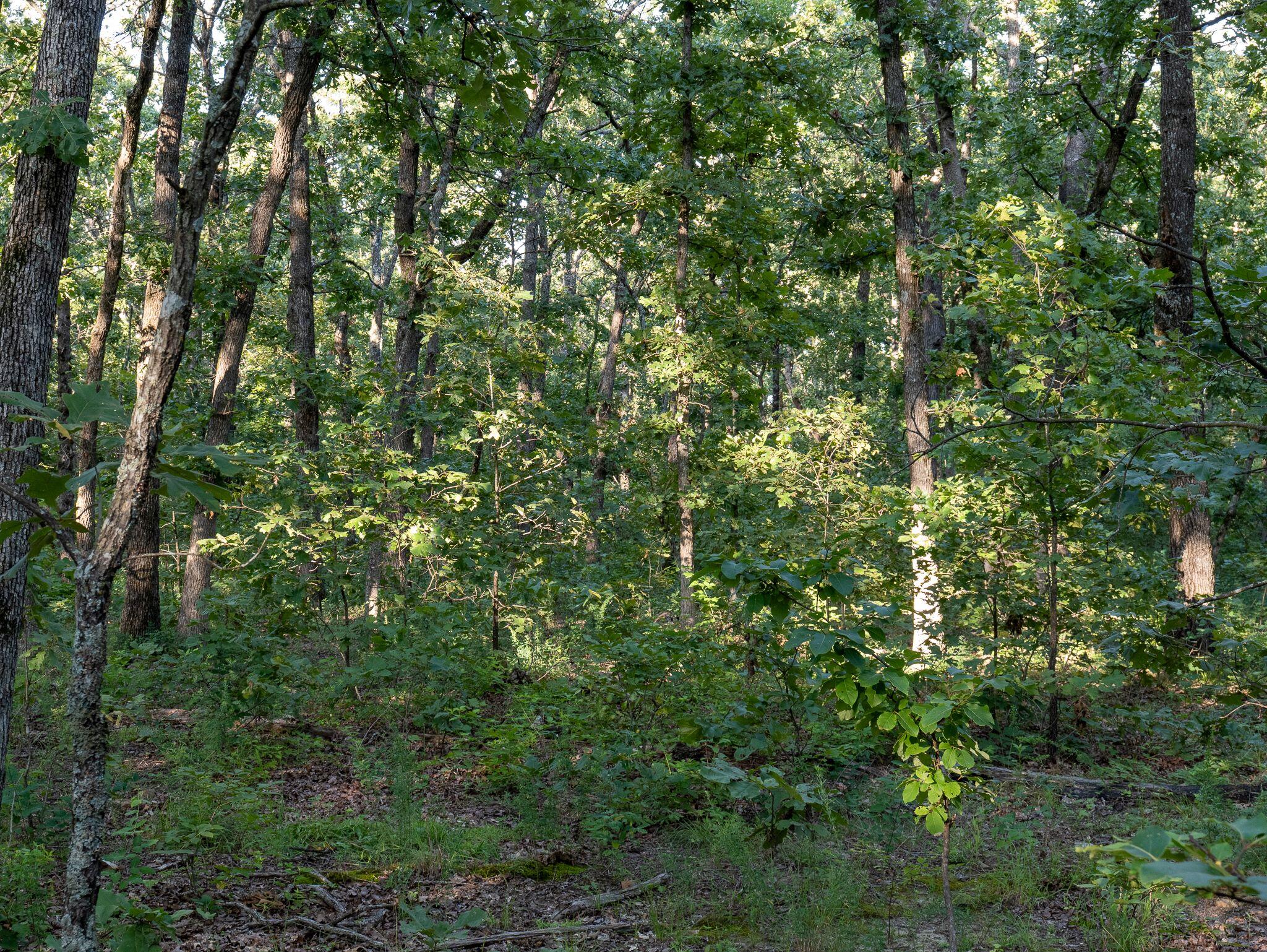 000 South 52nd Road Property Photo 26