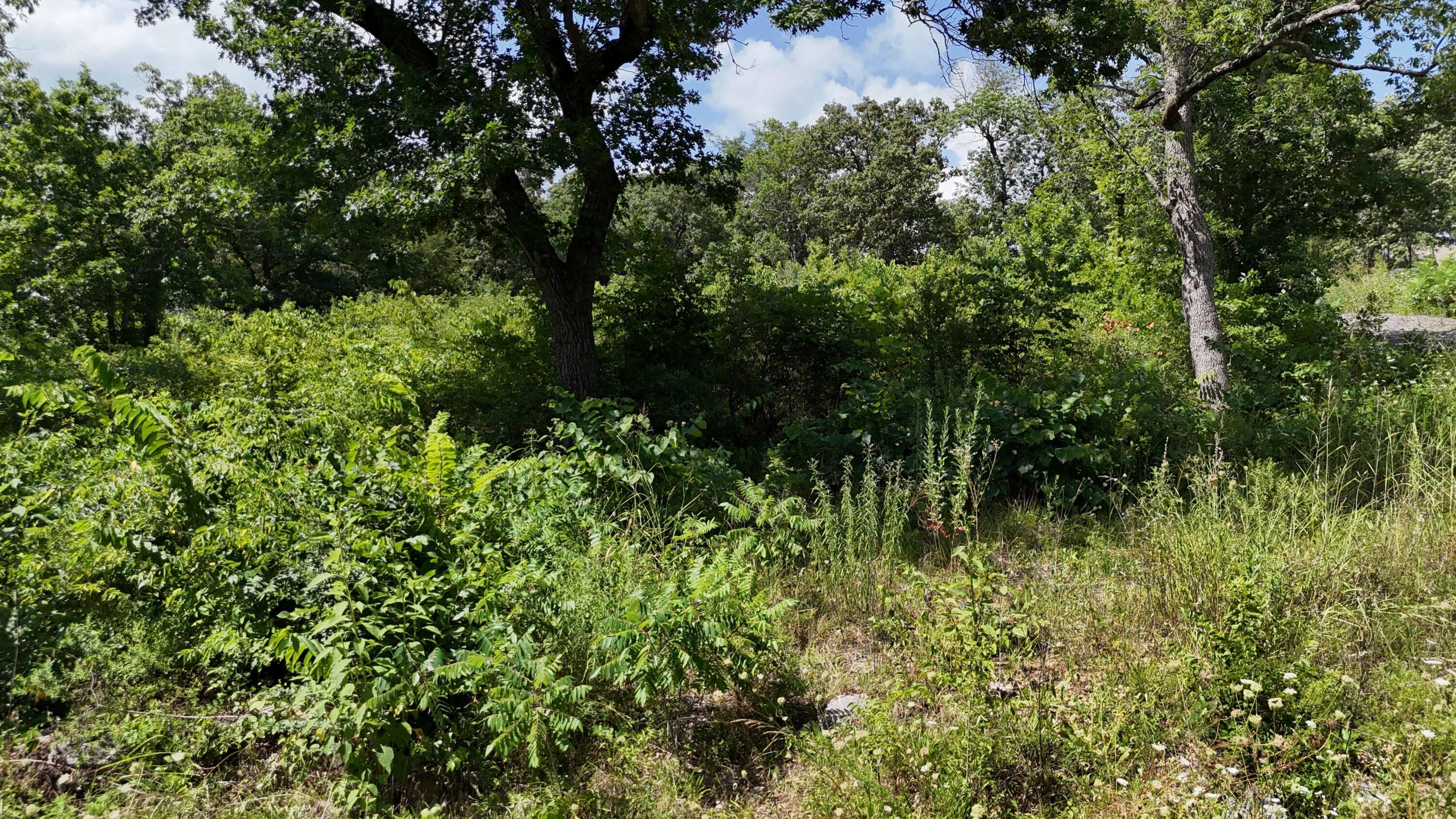 000 Walnut Drive Property Photo 3