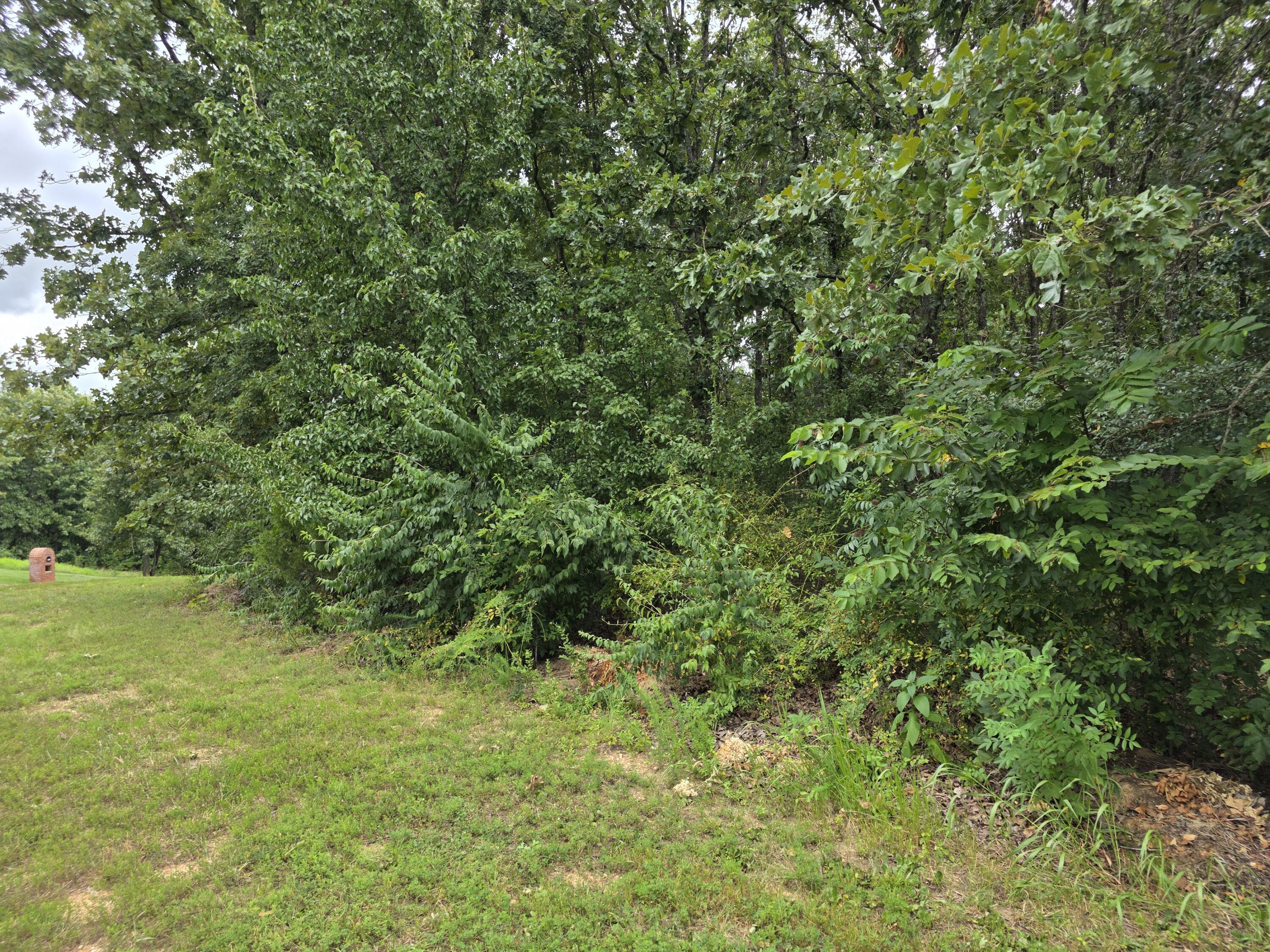 2006 Big Deer Property Photo 4