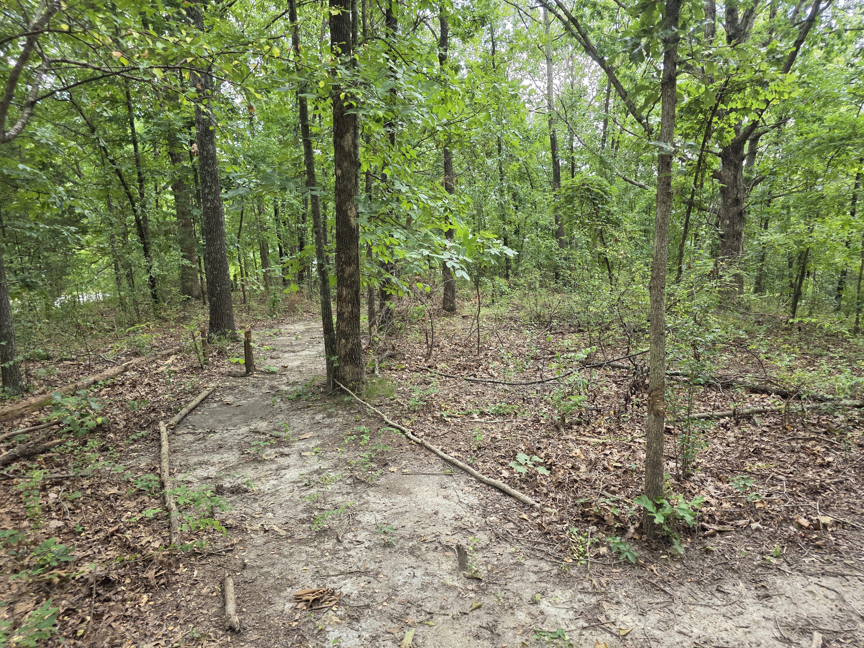2006 Big Deer Property Photo 6
