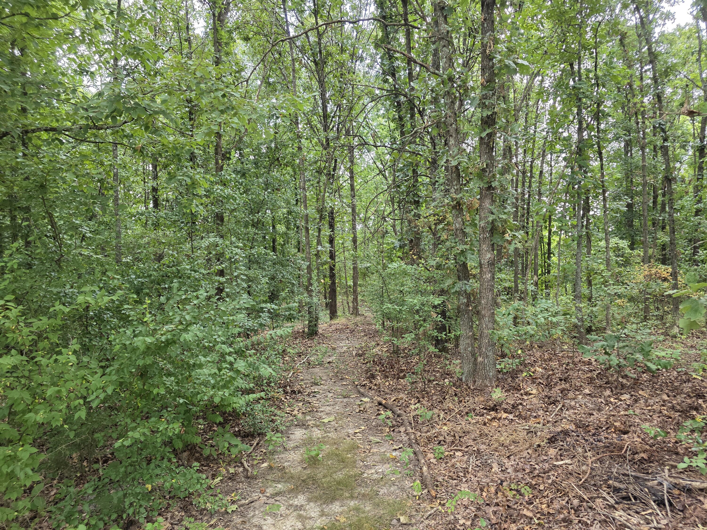 2006 Big Deer Property Photo 8