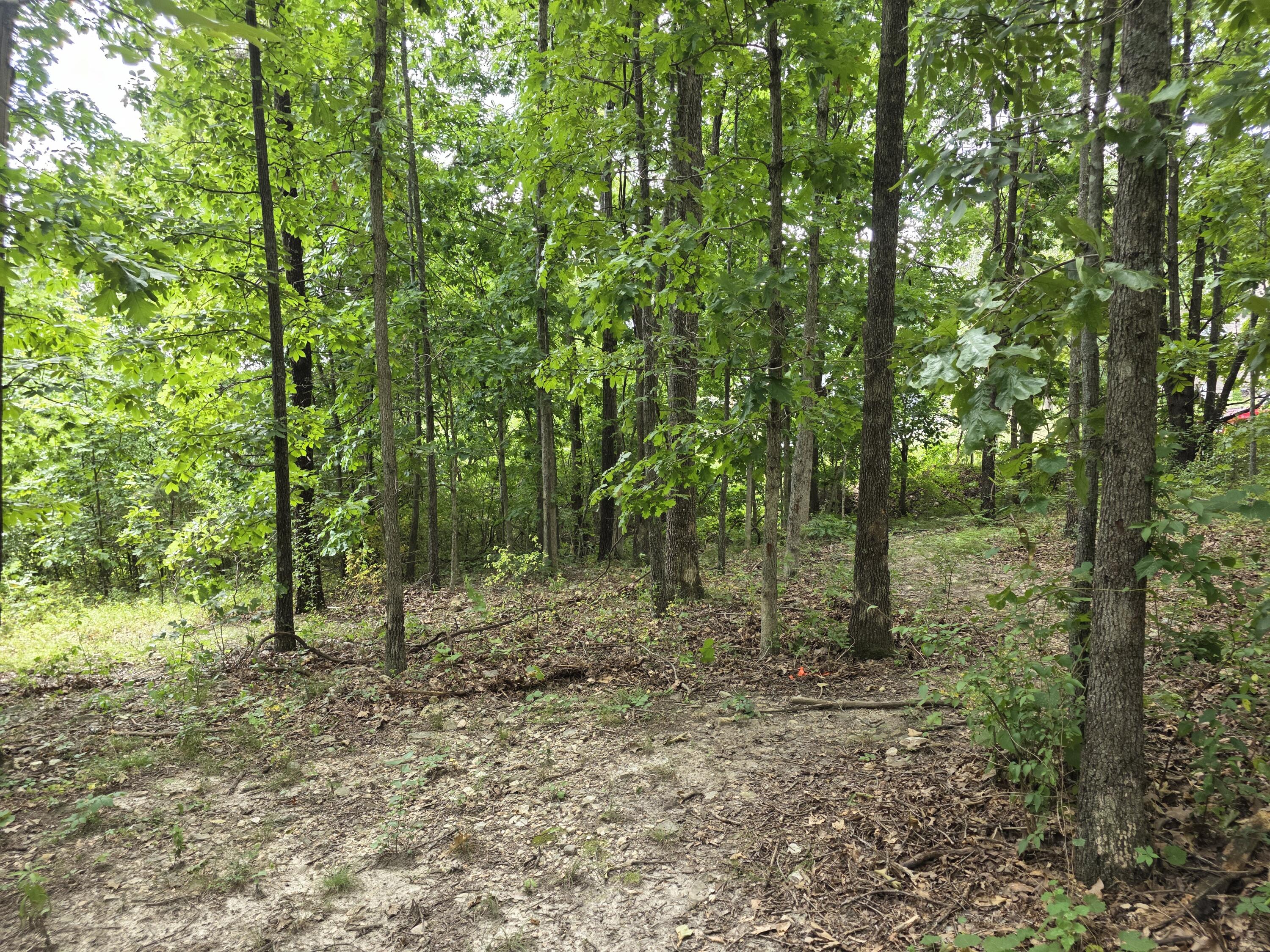 2006 Big Deer Property Photo 9
