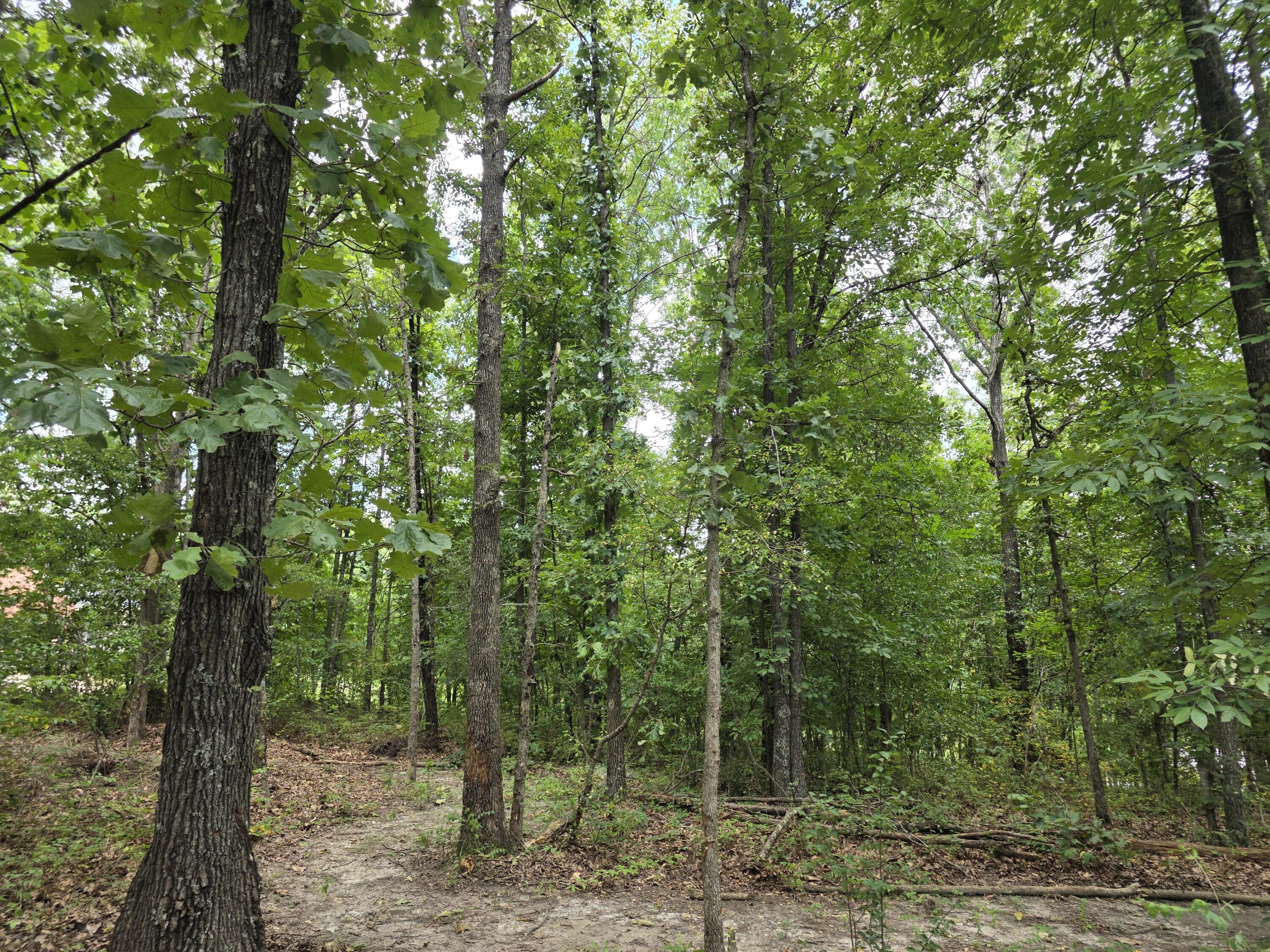 2006 Big Deer Property Photo 10