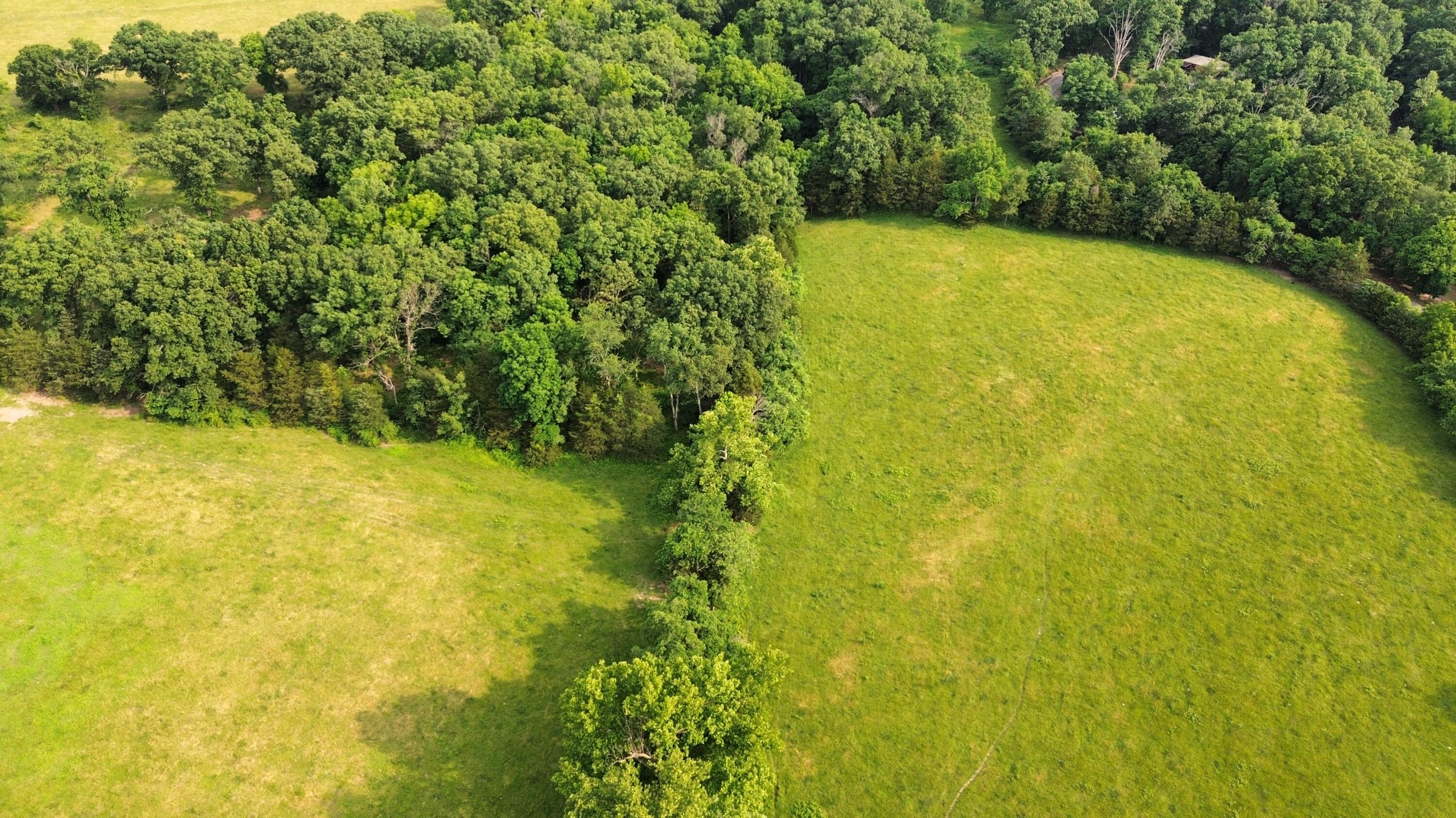 1552 Roberts Ridge Road Property Photo 5