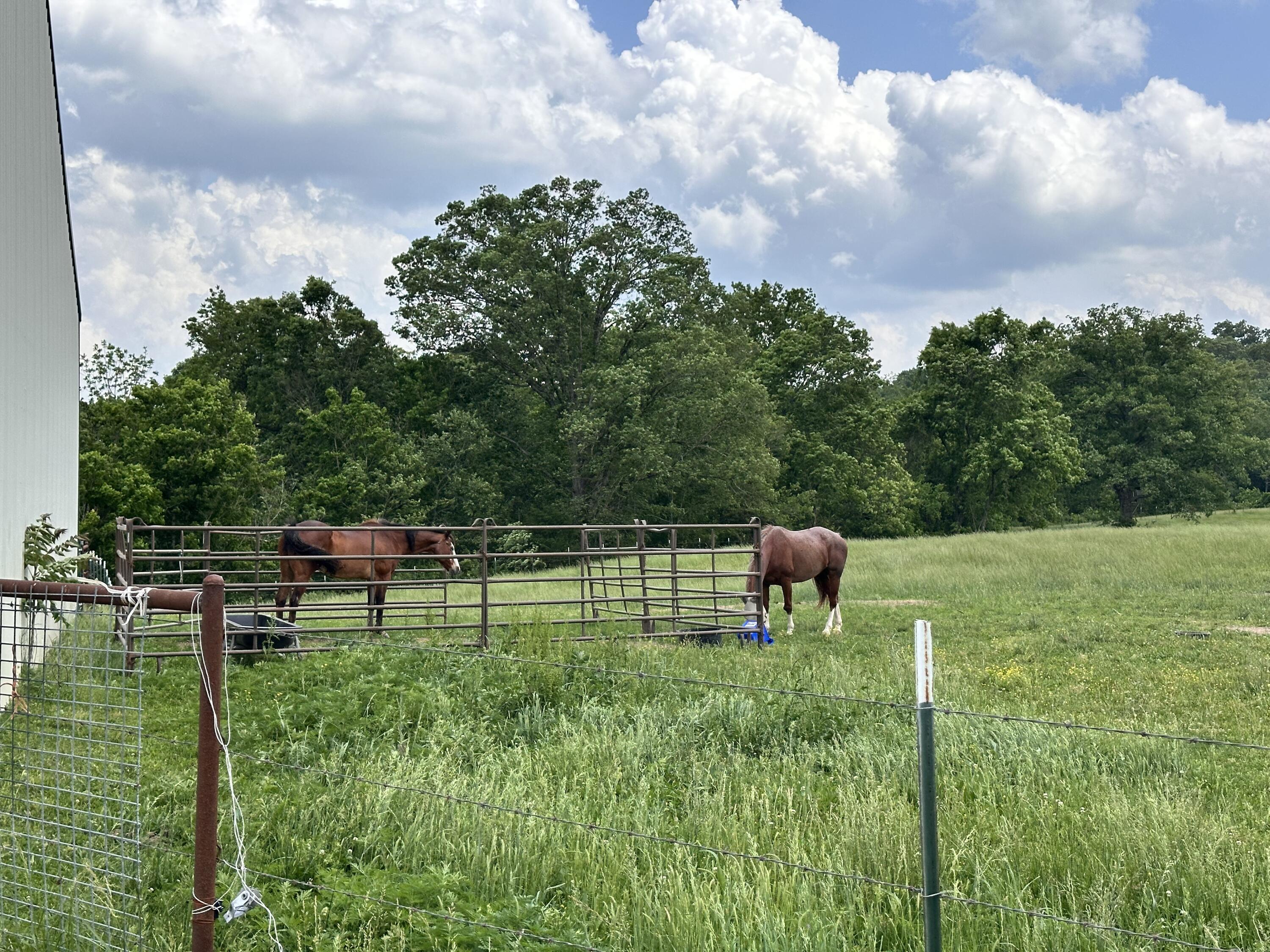 1552 Roberts Ridge Road Property Photo 32