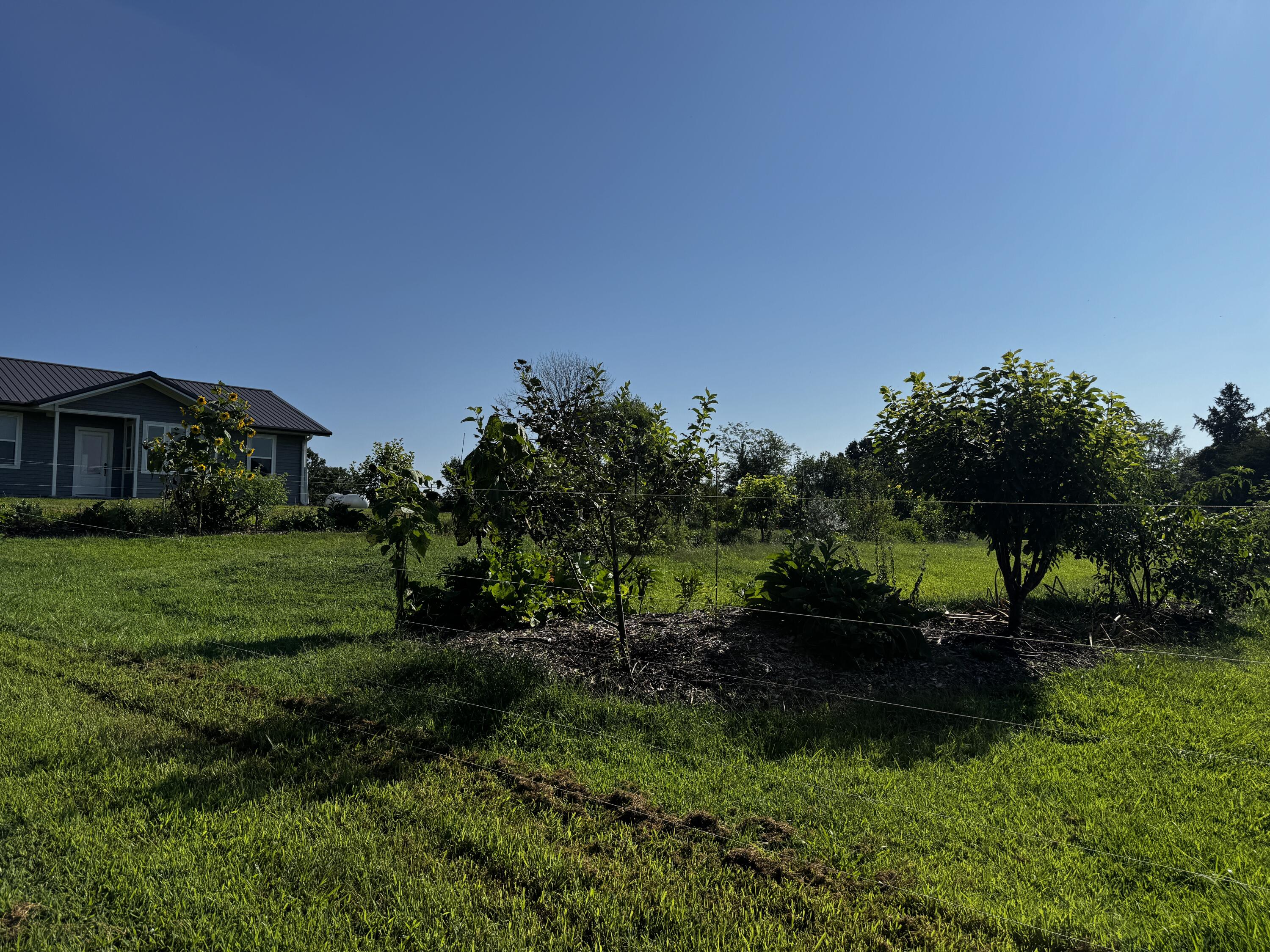 1170 County Road 339 Property Photo 10