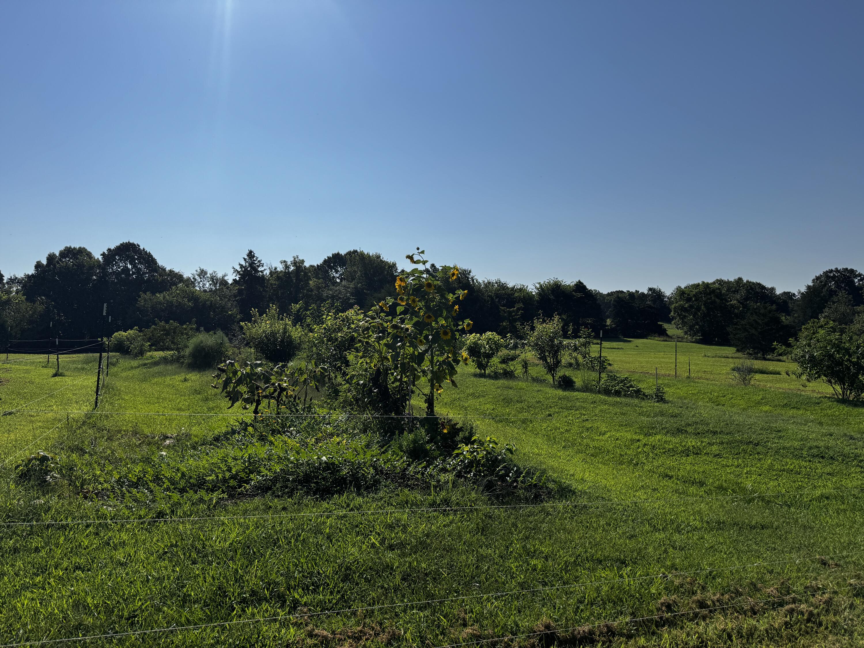 1170 County Road 339 Property Photo 12