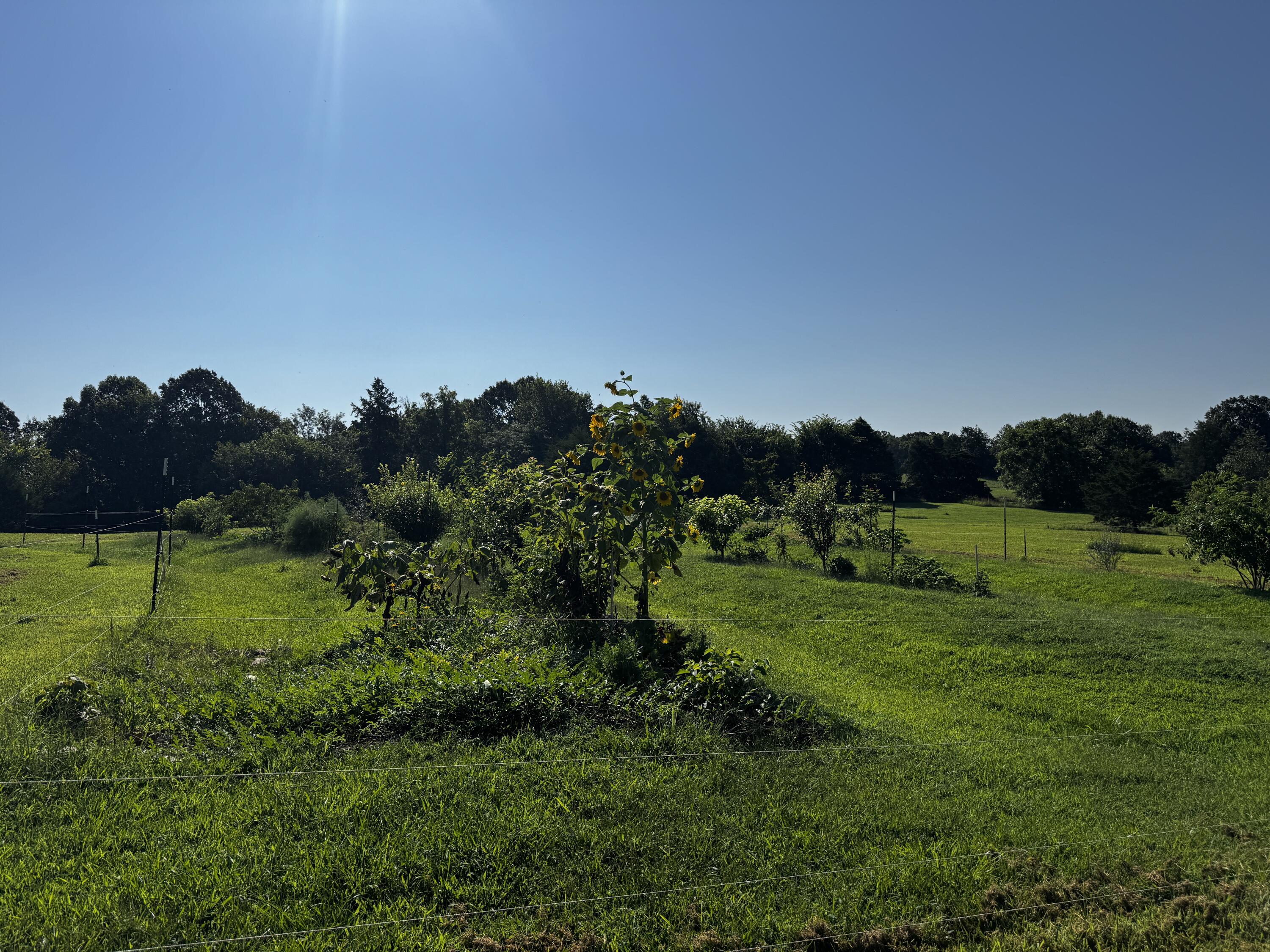 1170 County Road 339 Property Photo 13