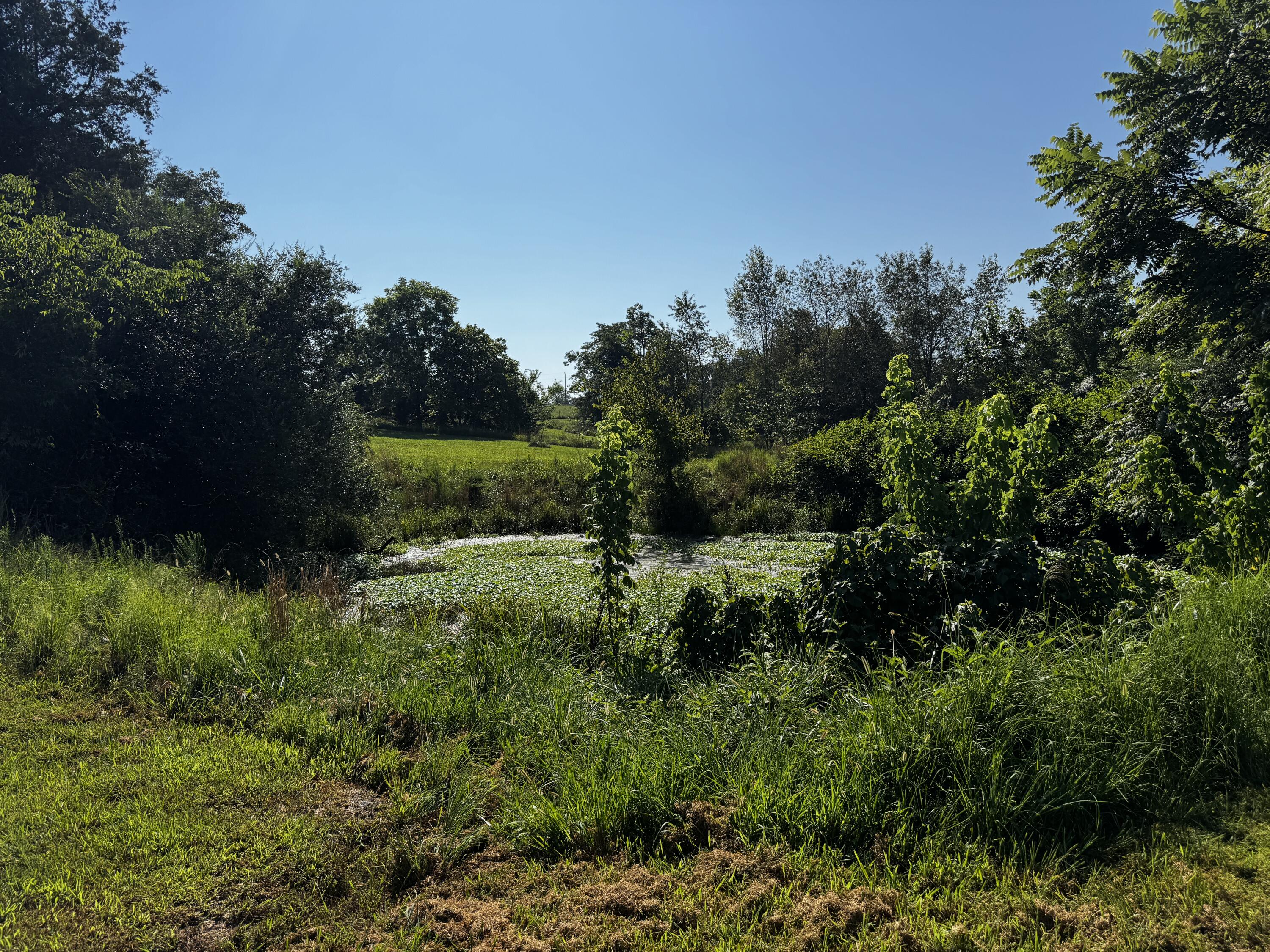1170 County Road 339 Property Photo 50