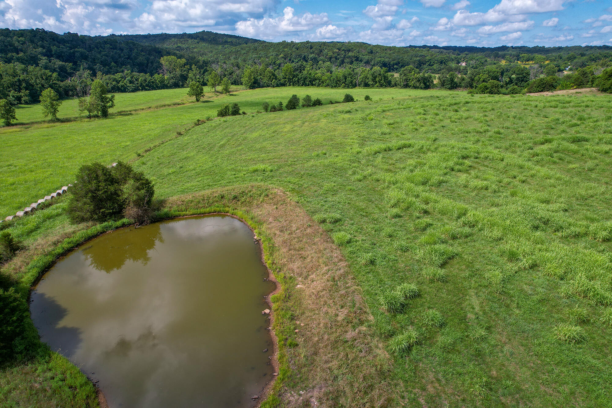 4091 Flat Creek Road Property Photo 11