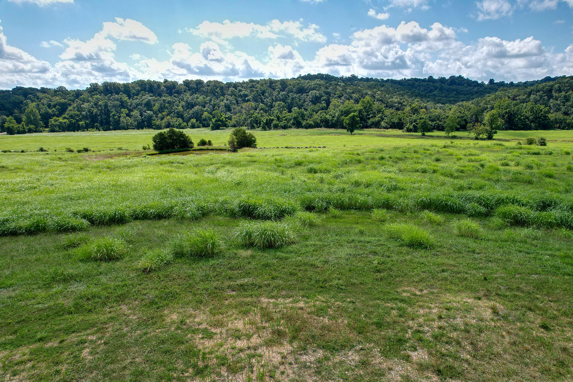 4091 Flat Creek Road Property Photo 13