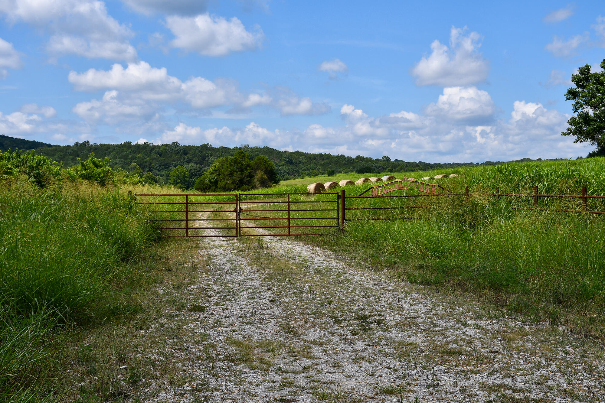 4091 Flat Creek Road Property Photo 32
