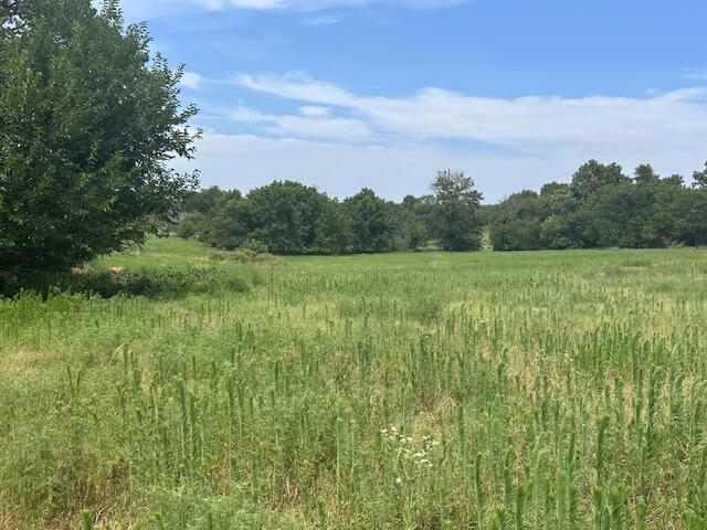 11438 Norway Road Property Photo 6