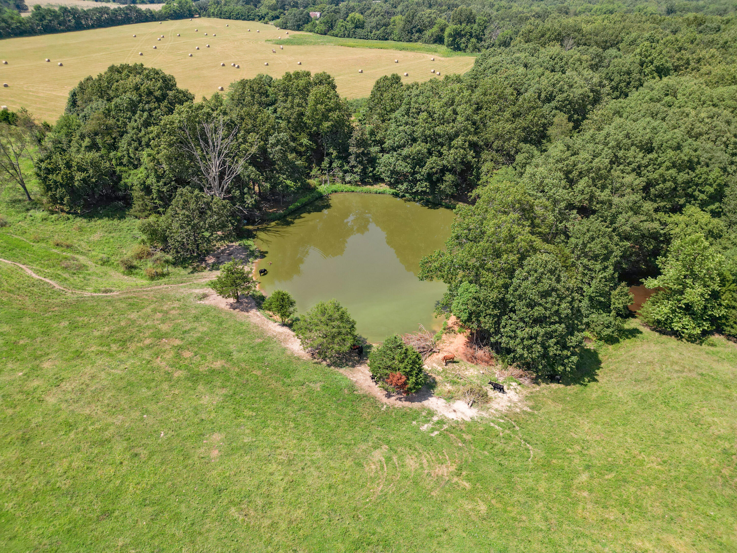 000 Coon Creek Road Property Photo 9