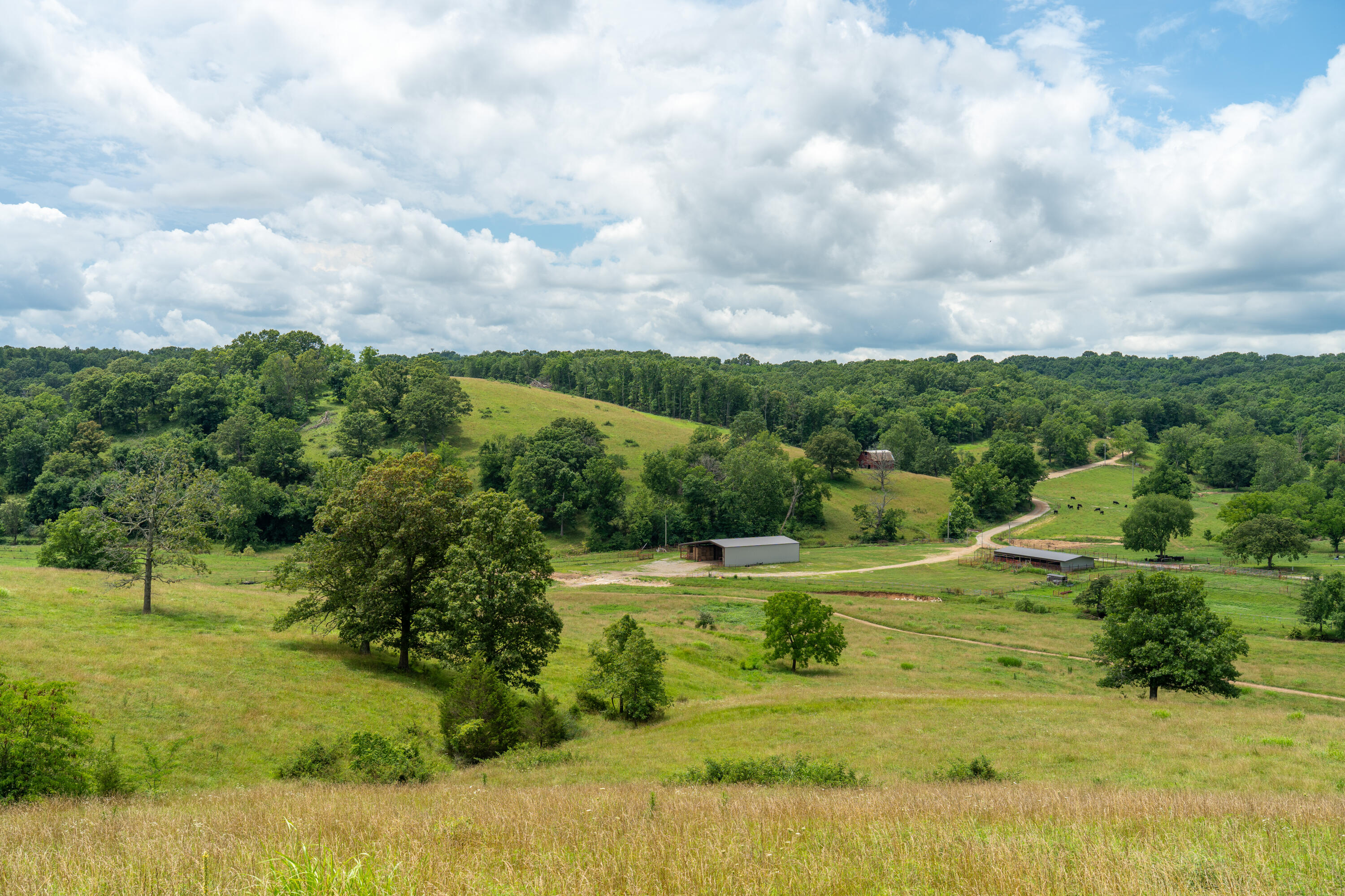 15576 State Highway 76 Property Photo 45