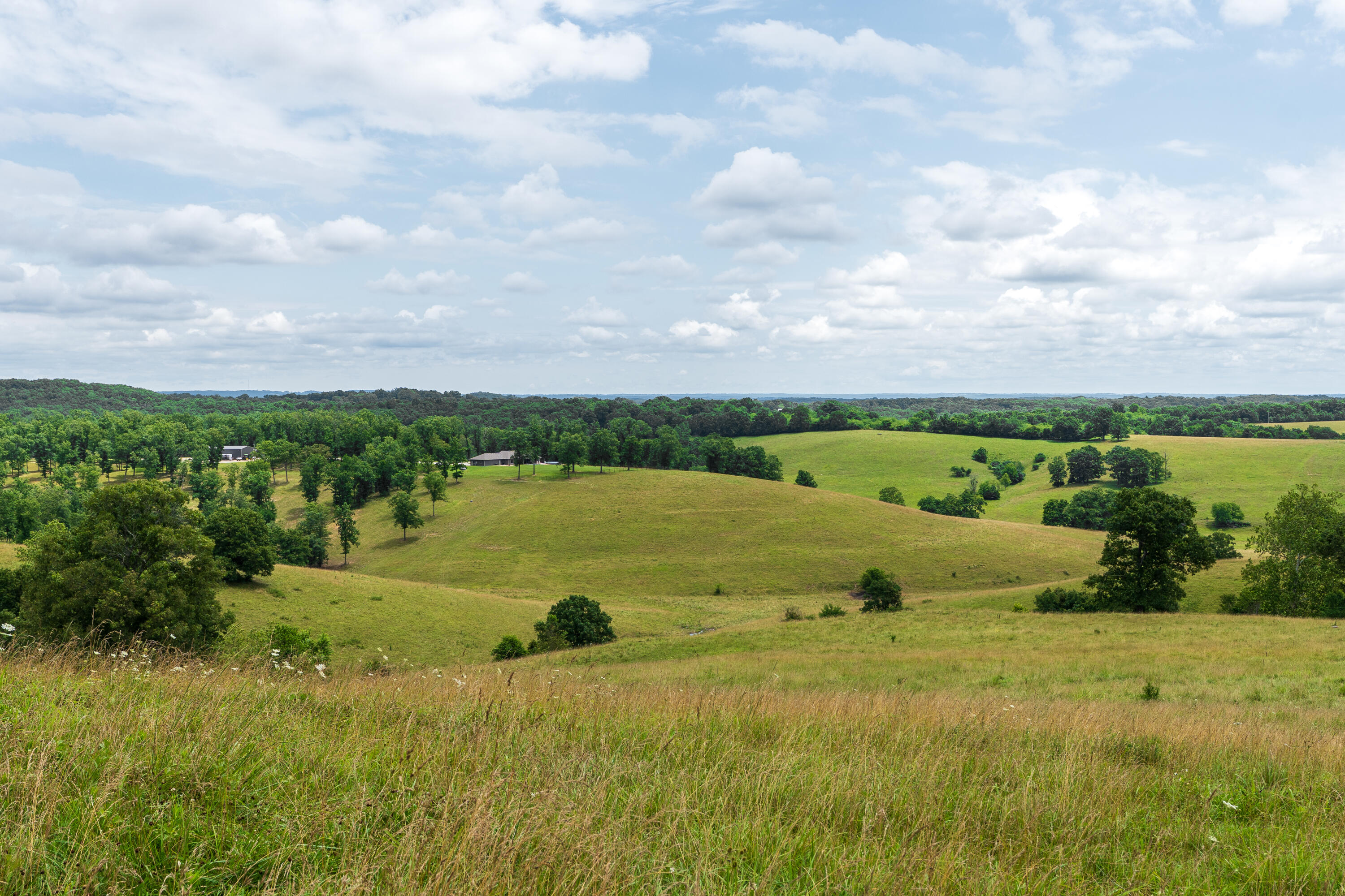 15576 State Highway 76 Property Photo 67
