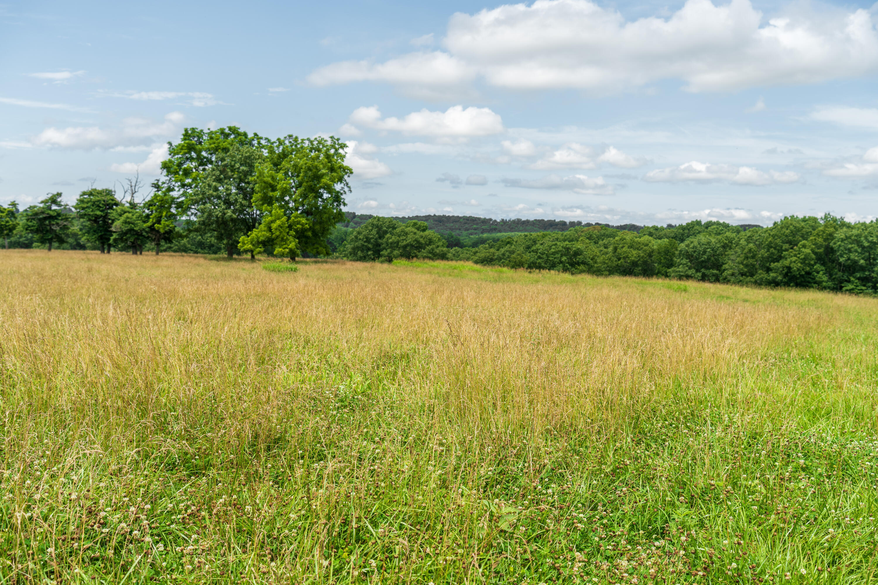 15576 State Highway 76 Property Photo 69