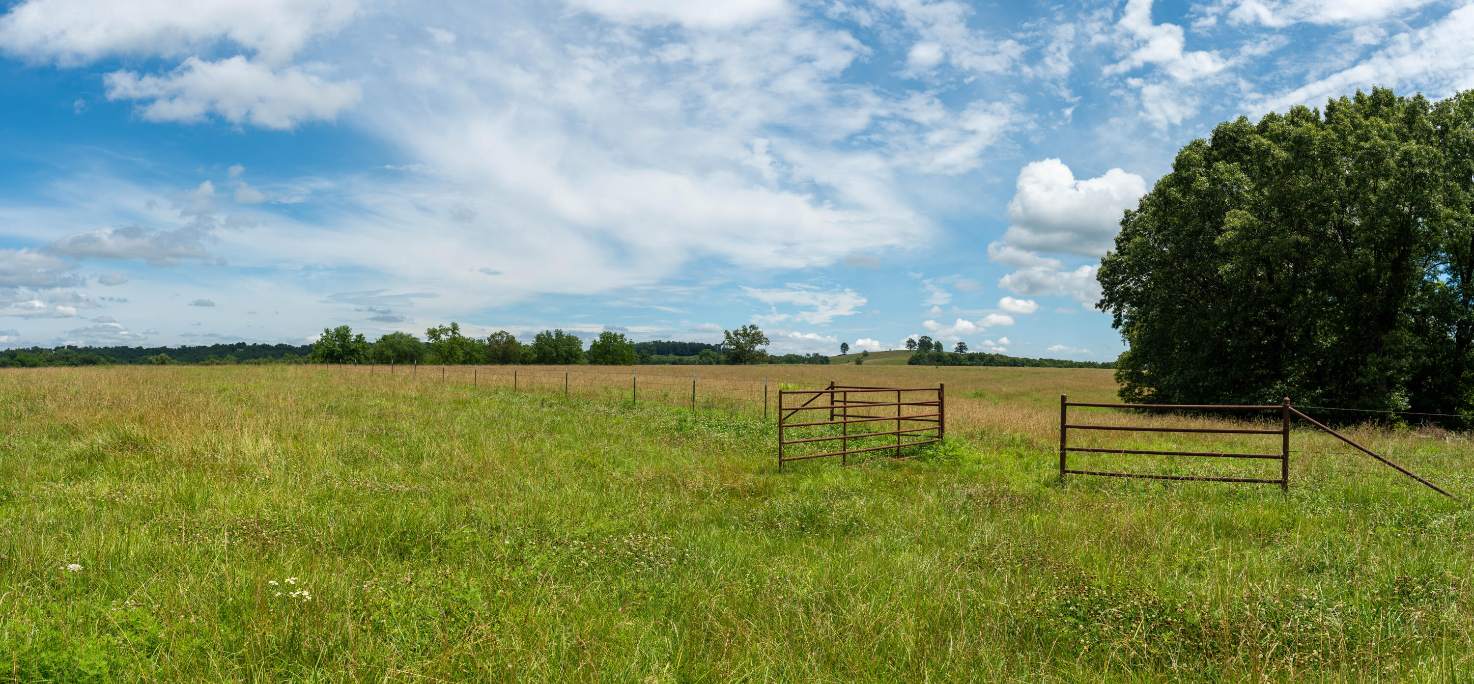 15576 State Highway 76 Property Photo 71
