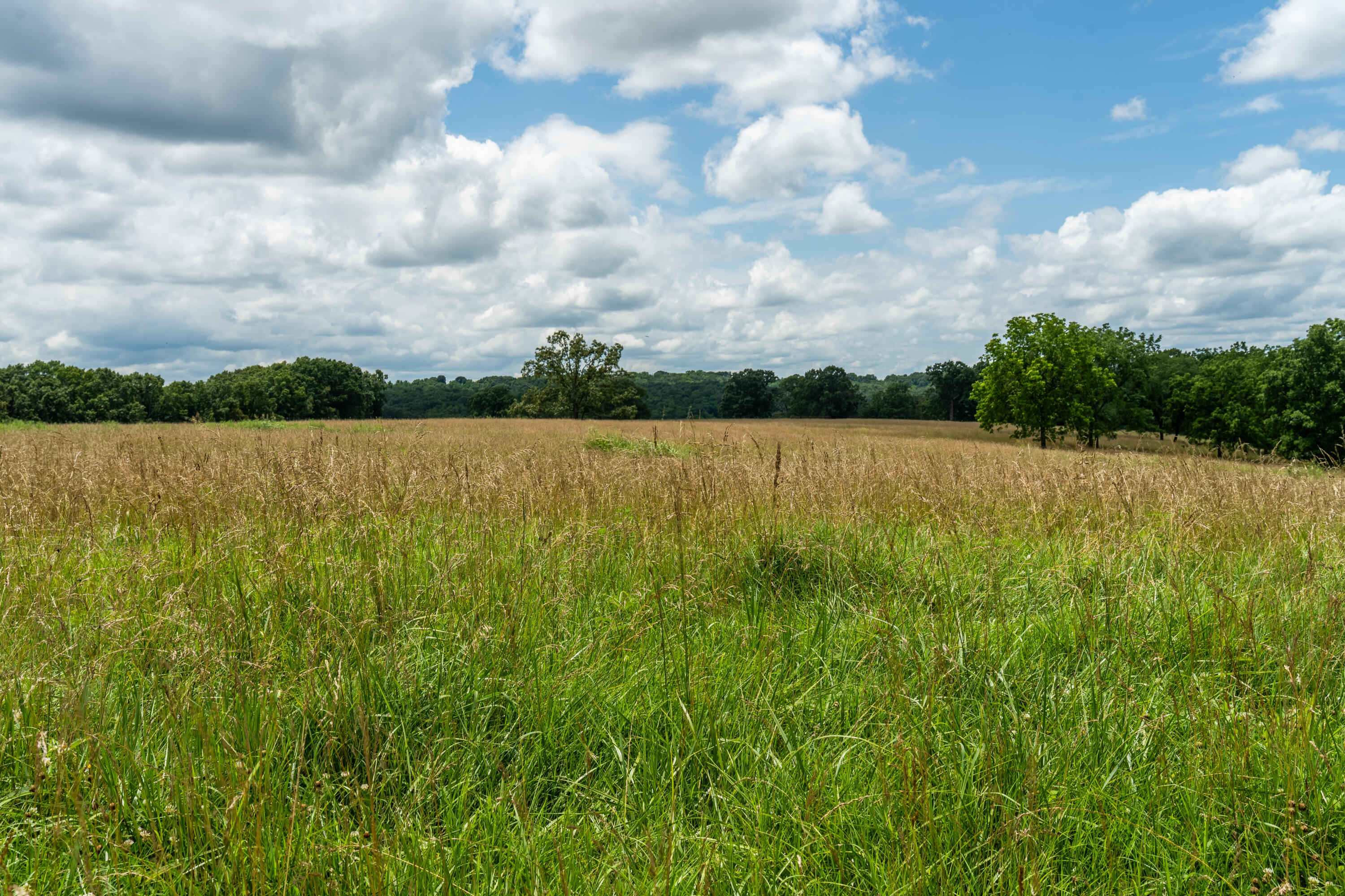 15576 State Highway 76 Property Photo 75