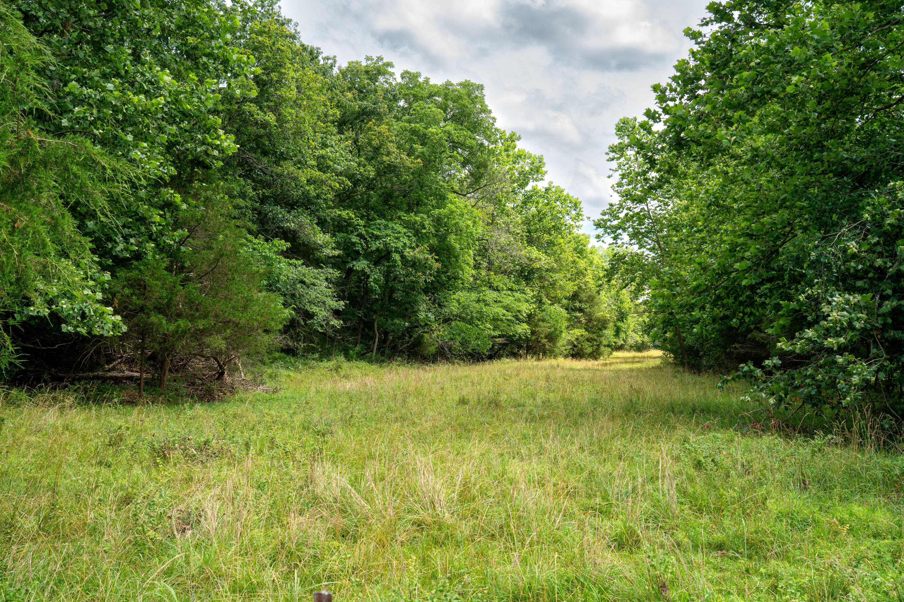 15576 State Highway 76 Property Photo 79