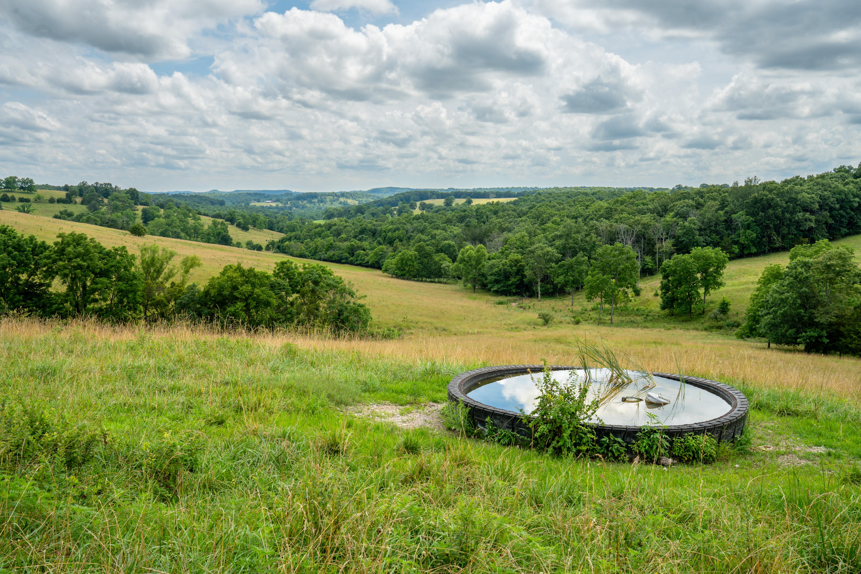 15576 State Highway 76 Property Photo 80