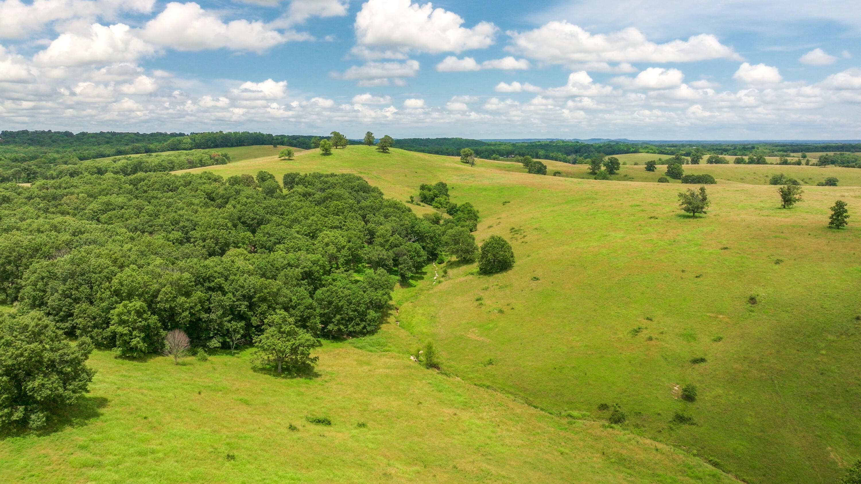 15576 State Highway 76 Property Photo 93